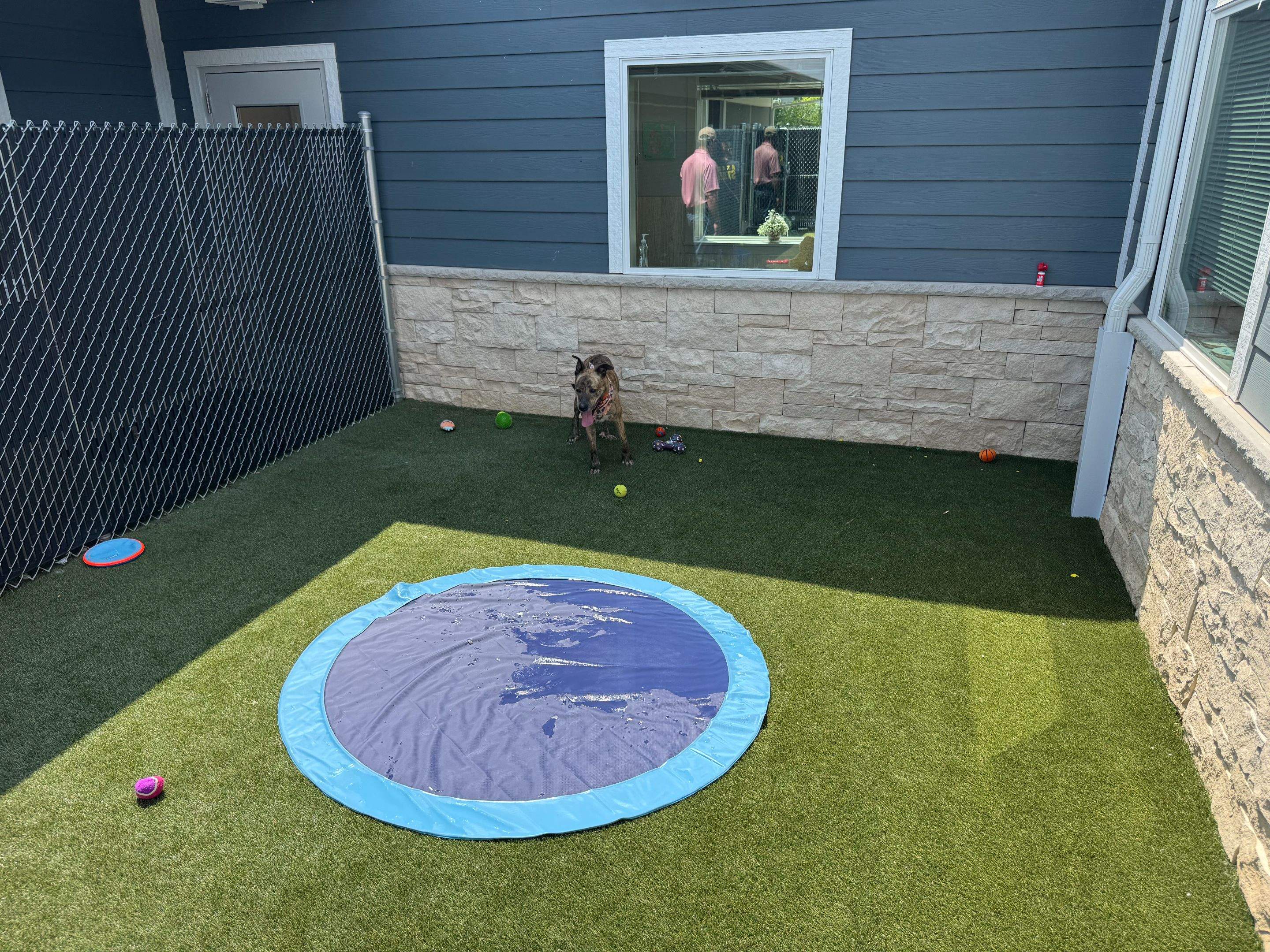 Humane Society for Greater Lafayette by ForeverLawn NEIN/INDY