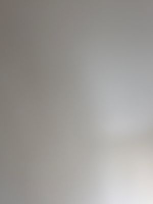 asdg