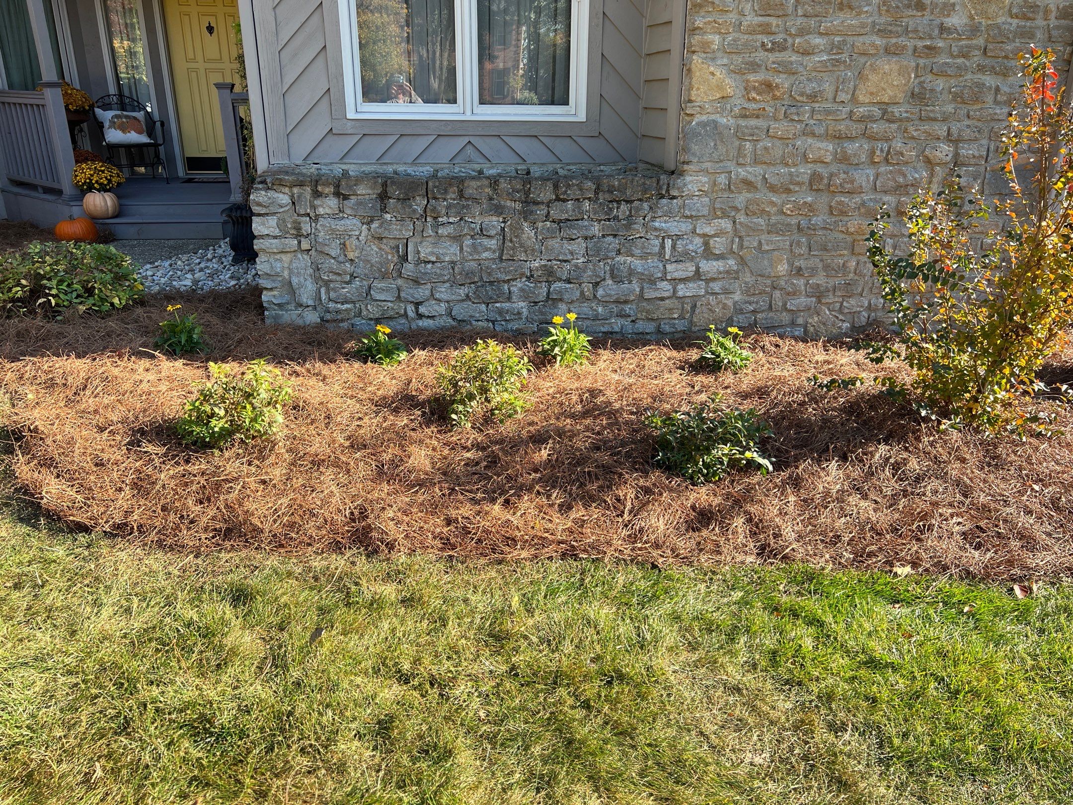 Spring Clean Up using Pine Straw by Reisenberg’s Lawn & Landscape, LLC