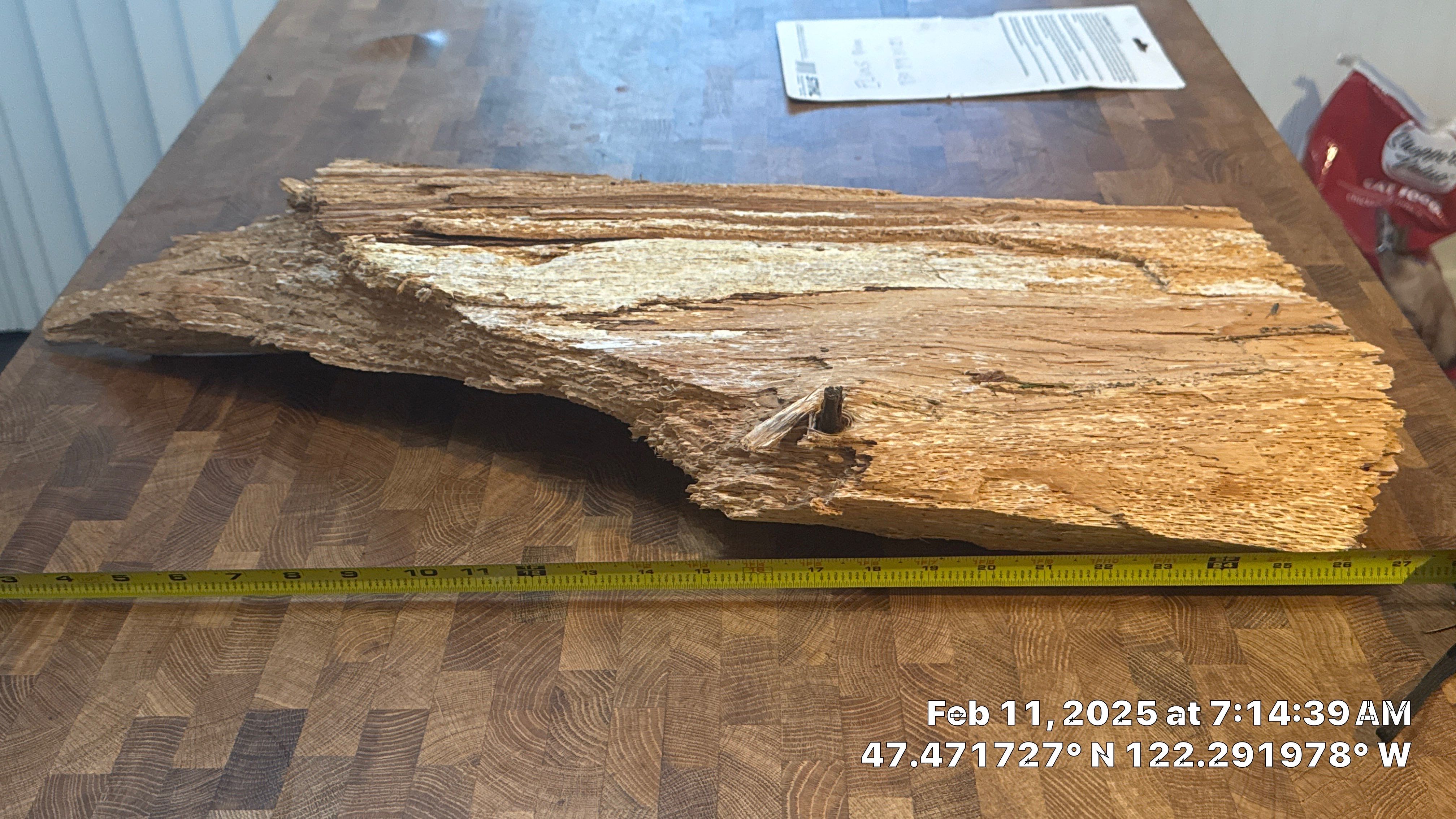 Arborist Letter using Level 1 Visual Assessment by Sound Tree Care LLC