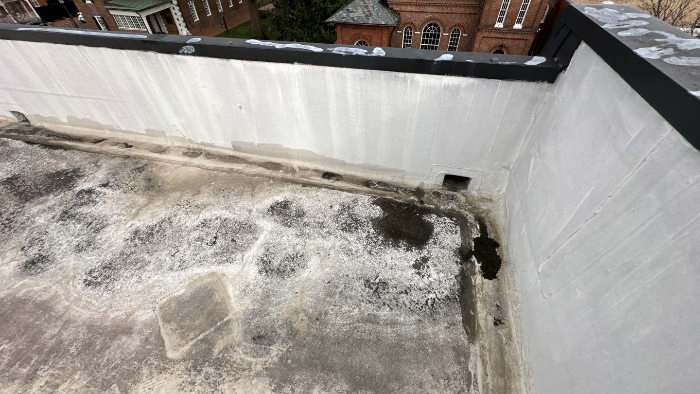 Alexandria: Carlisle Syntec TPO Flat Roof Installation by RM Banning, Inc.