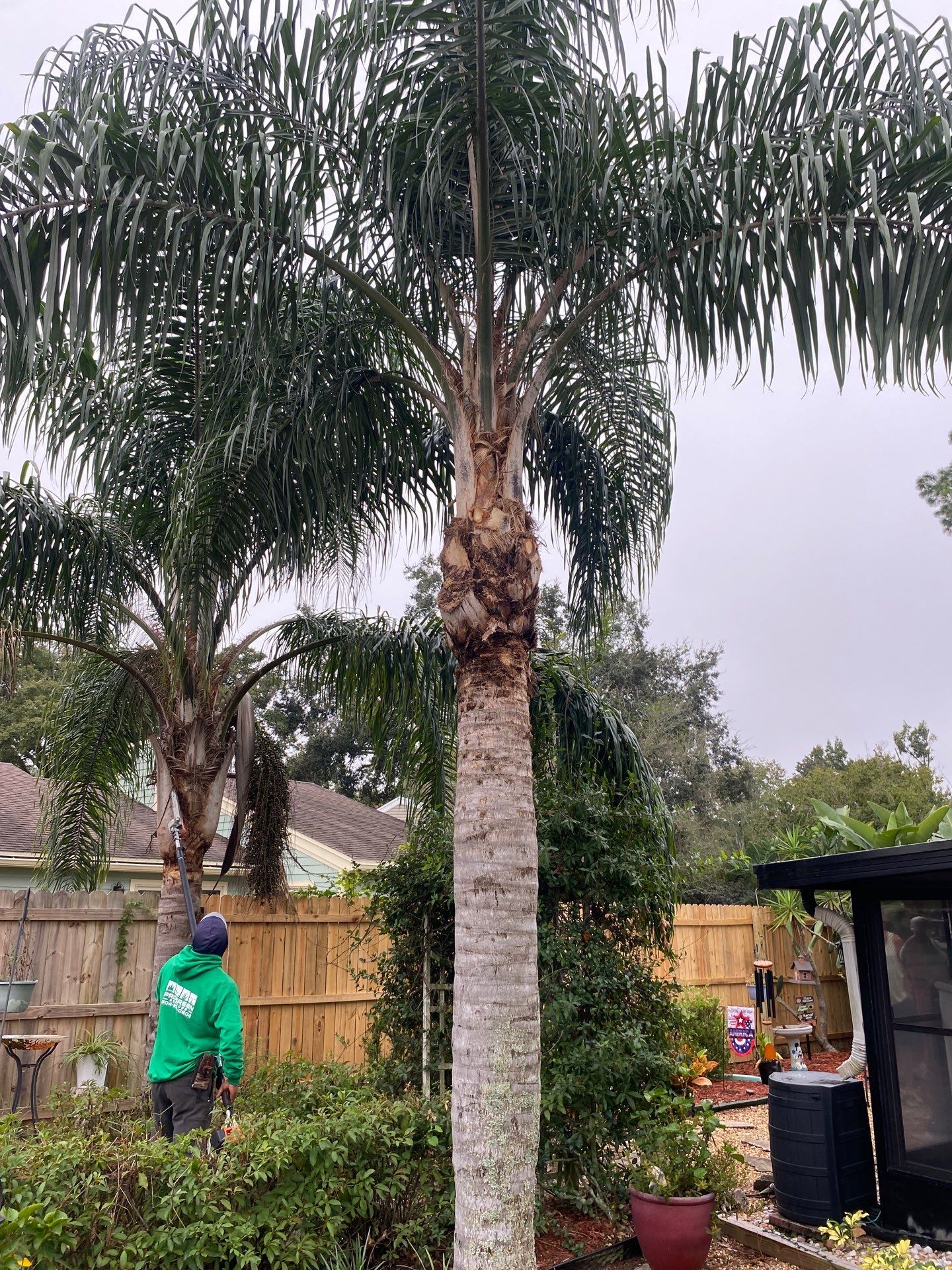 Tree Trimming | Residential by ProGreen Services