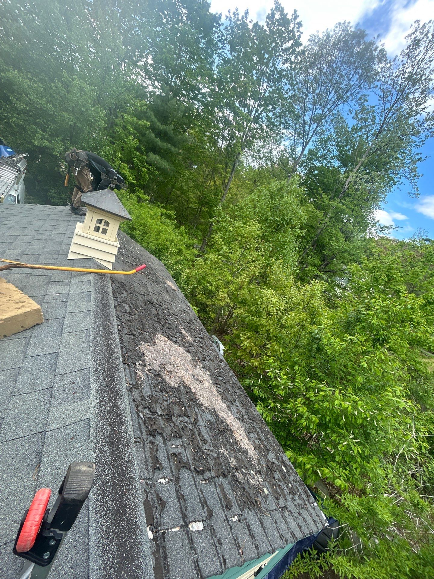 Roofing | Northborough by Mighty Dog Roofing of Greater Middlesex County