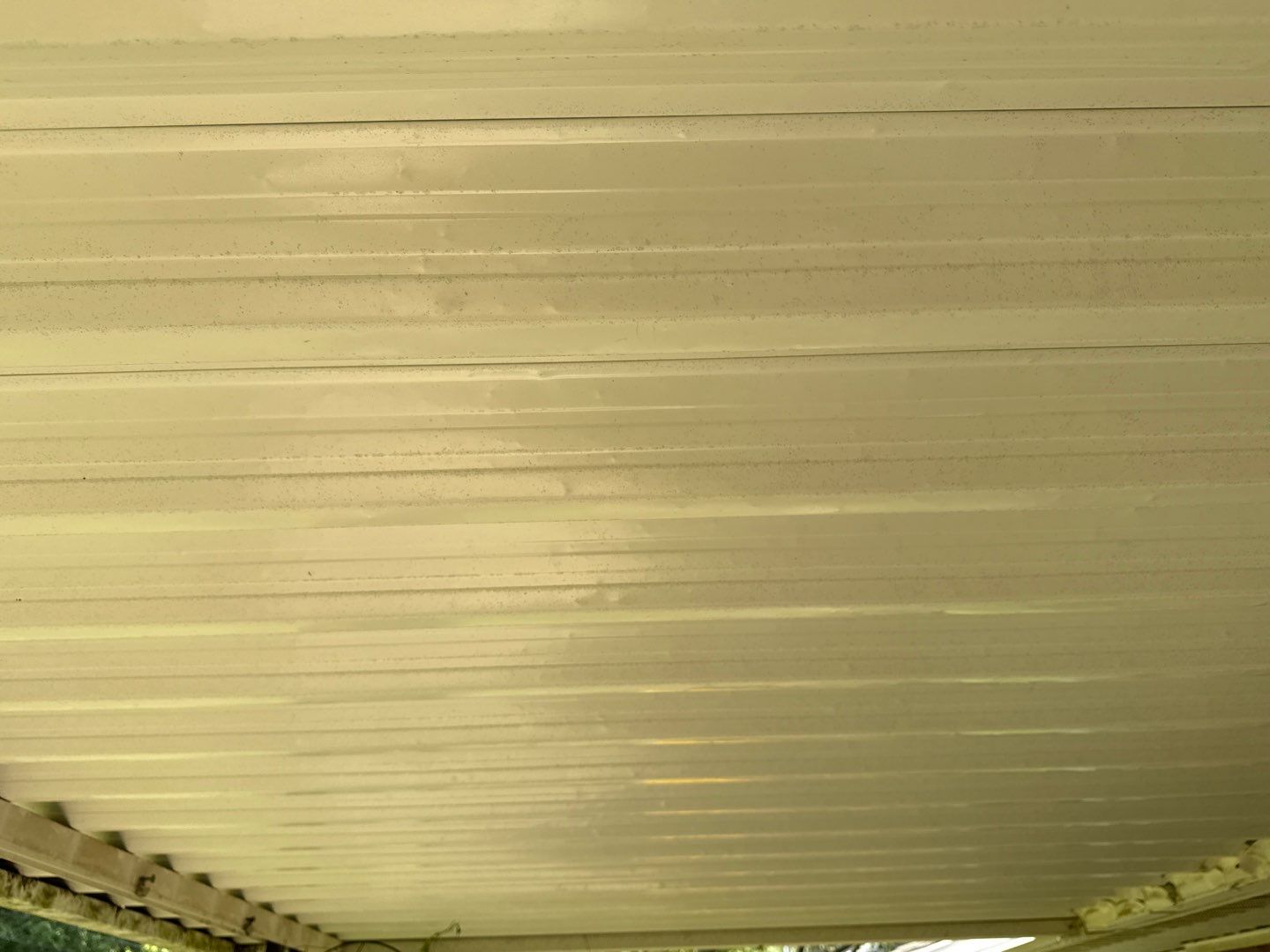 Campbell Storm Damage Report by Constructive Project Management