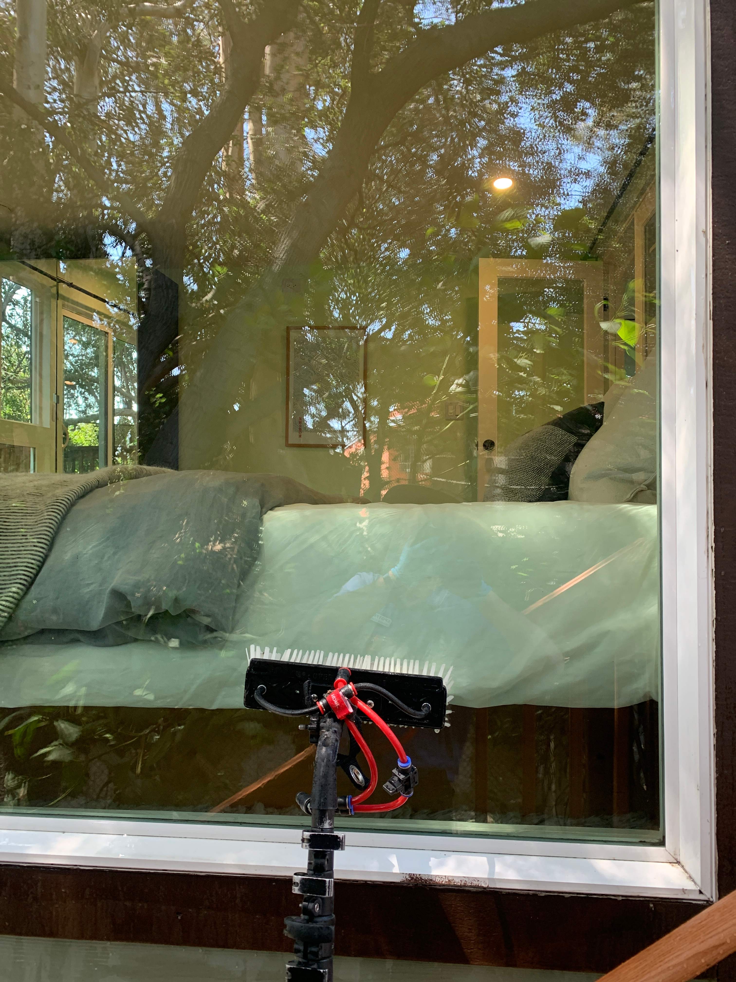  Elayne Hunter by SpotFree Window Cleaning