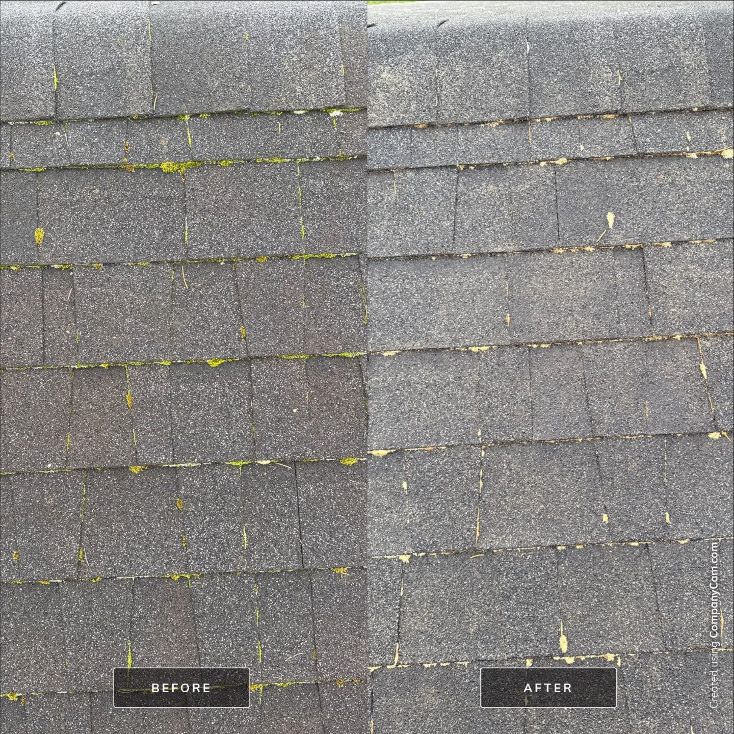 Shingle Transformation - Otis by Rolling Suds of Oregon Coast – Salem