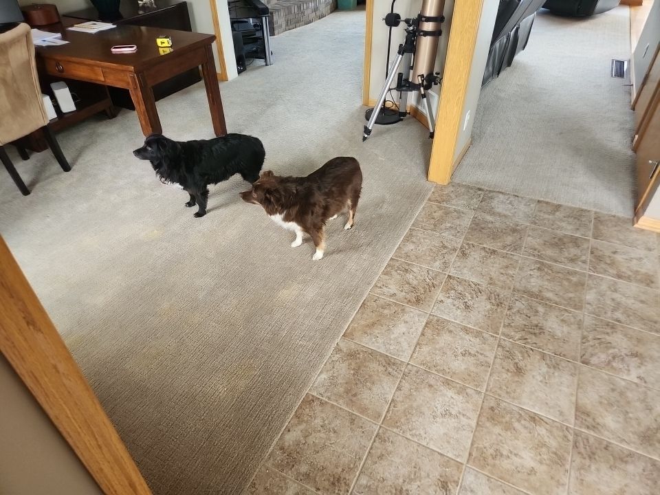 Abby Wenninghoff by FloorCo