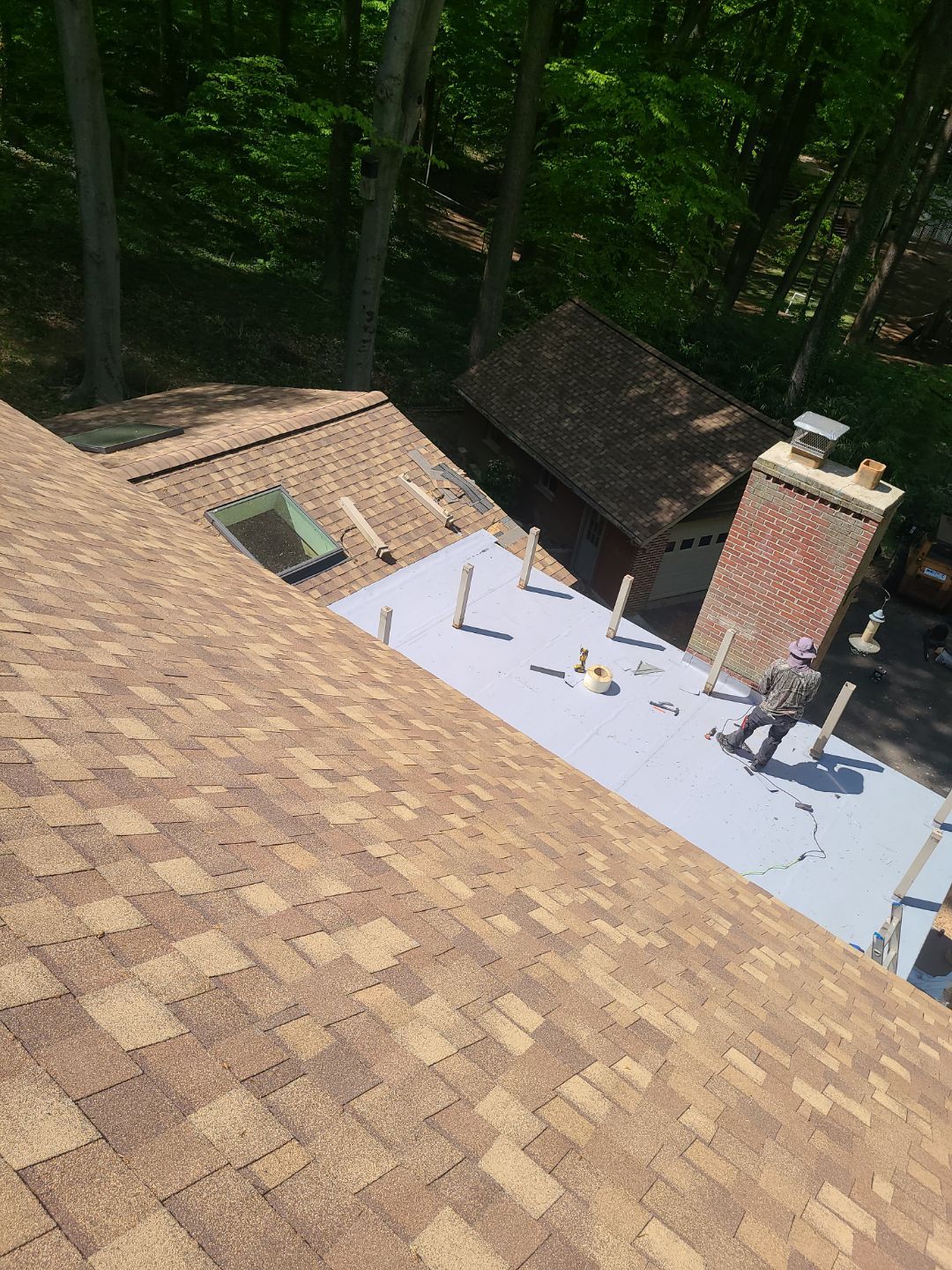 Annandale: Multi-Trade Tree Damage Restoration by RM Banning, Inc.