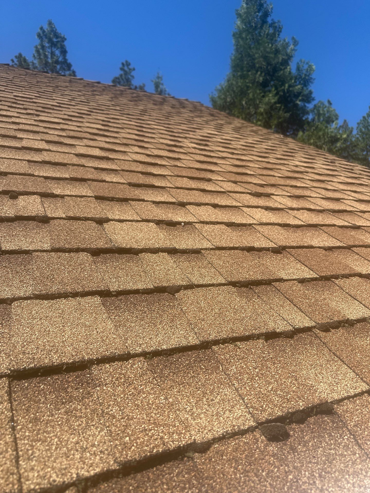 Roof Rejuvenation using Roof Maxx Treatment by Roof Maxx of Folsom