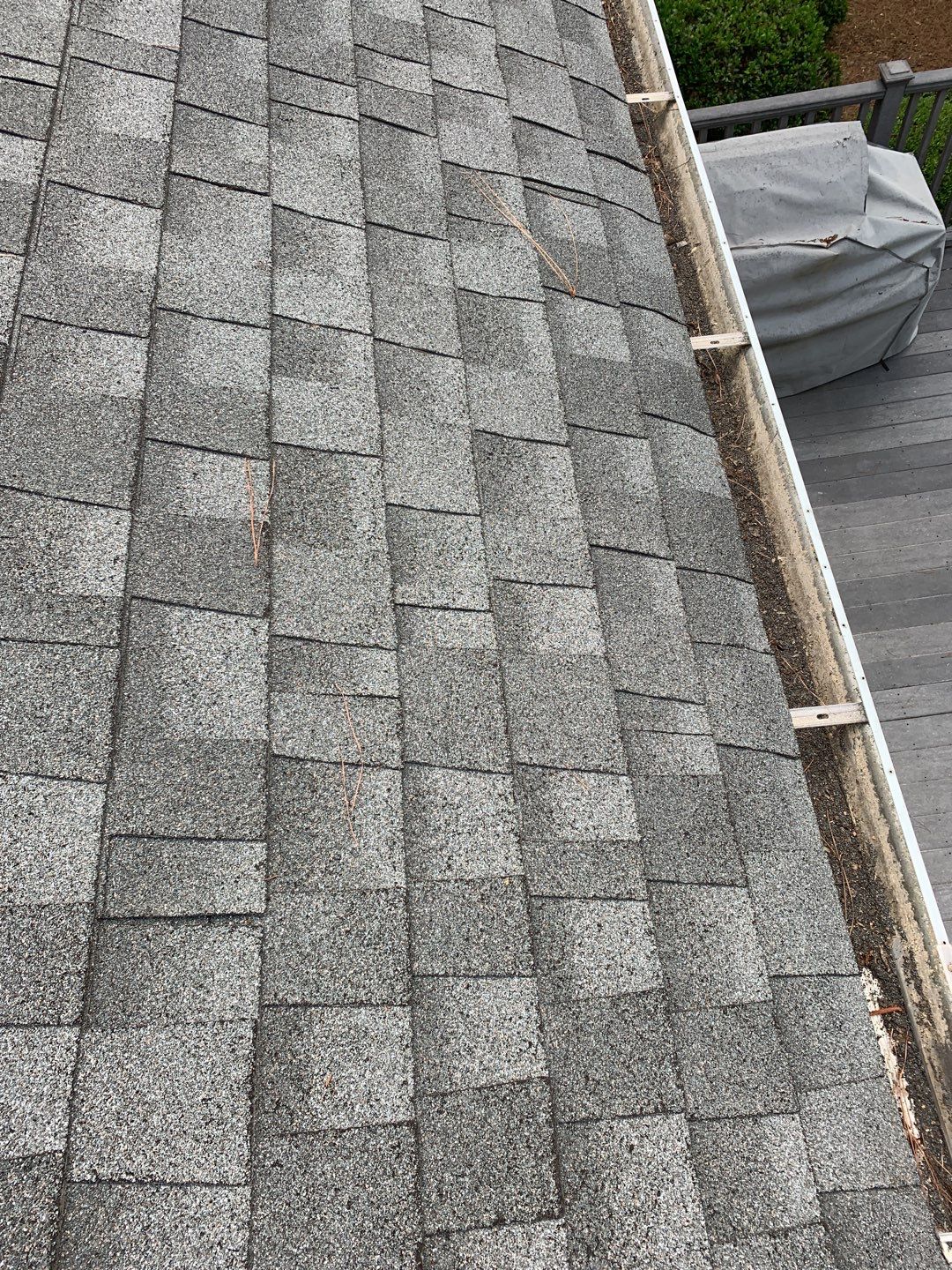 Hail Damaged Inspection / Repair / Re roof by American Roofing NC