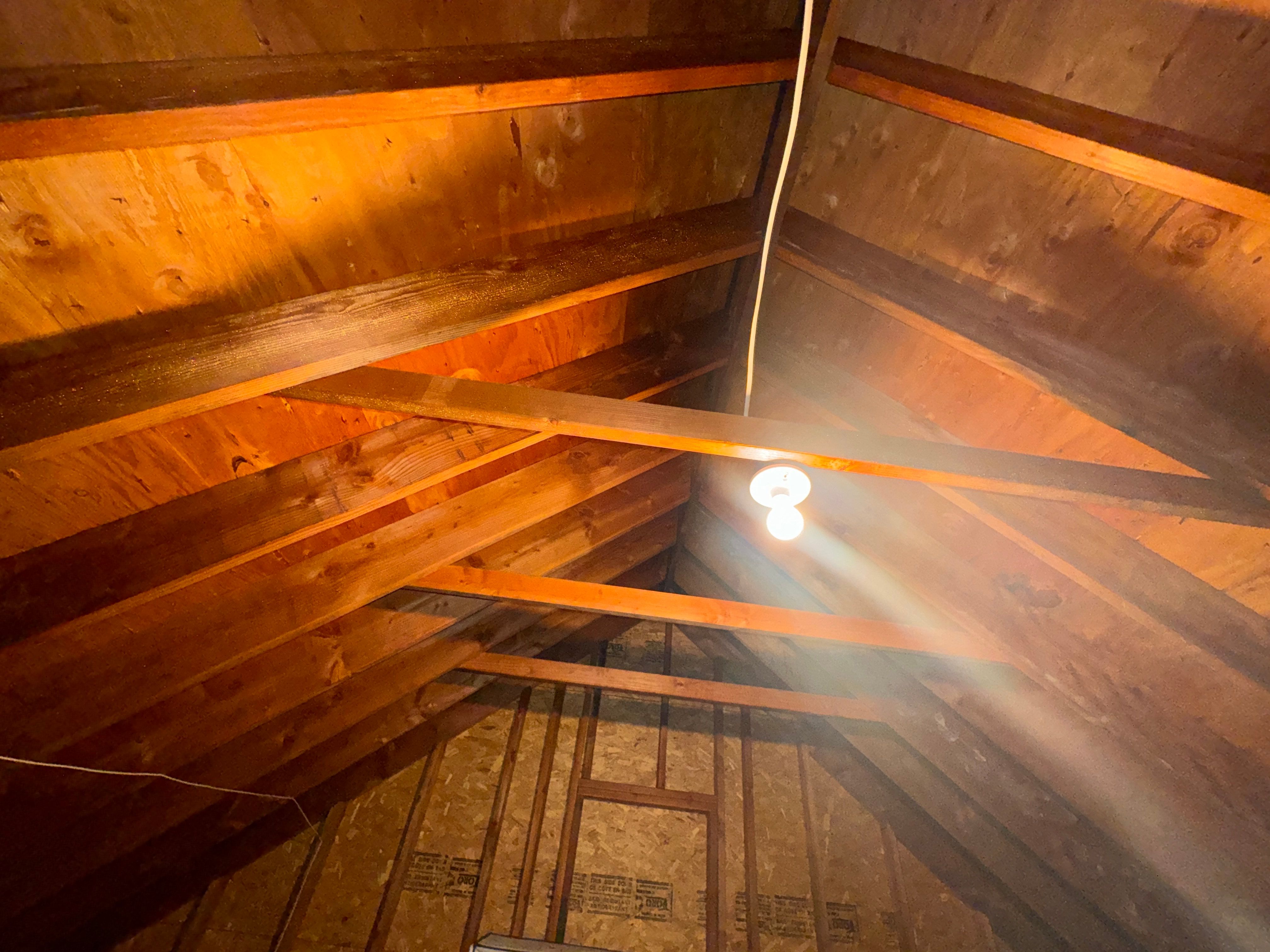 Interior French Drain With Radon Seal & Mold Remediation in Wall Township by Pure Service Pro, LLC 