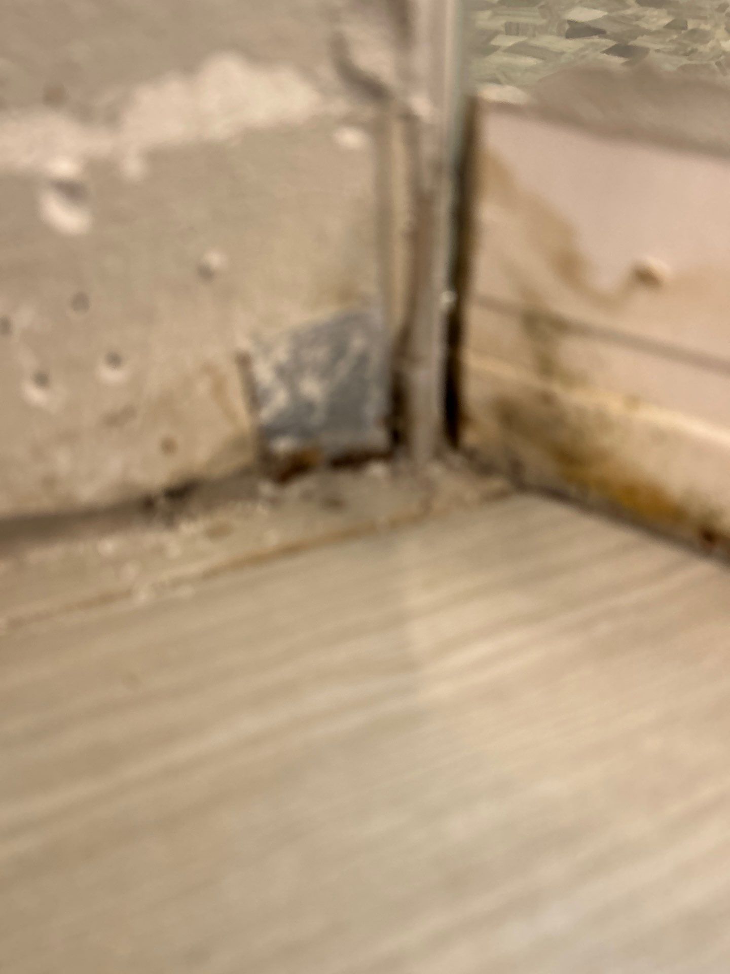Mold Remediation In Palmetto by Ampm Restoration Services 