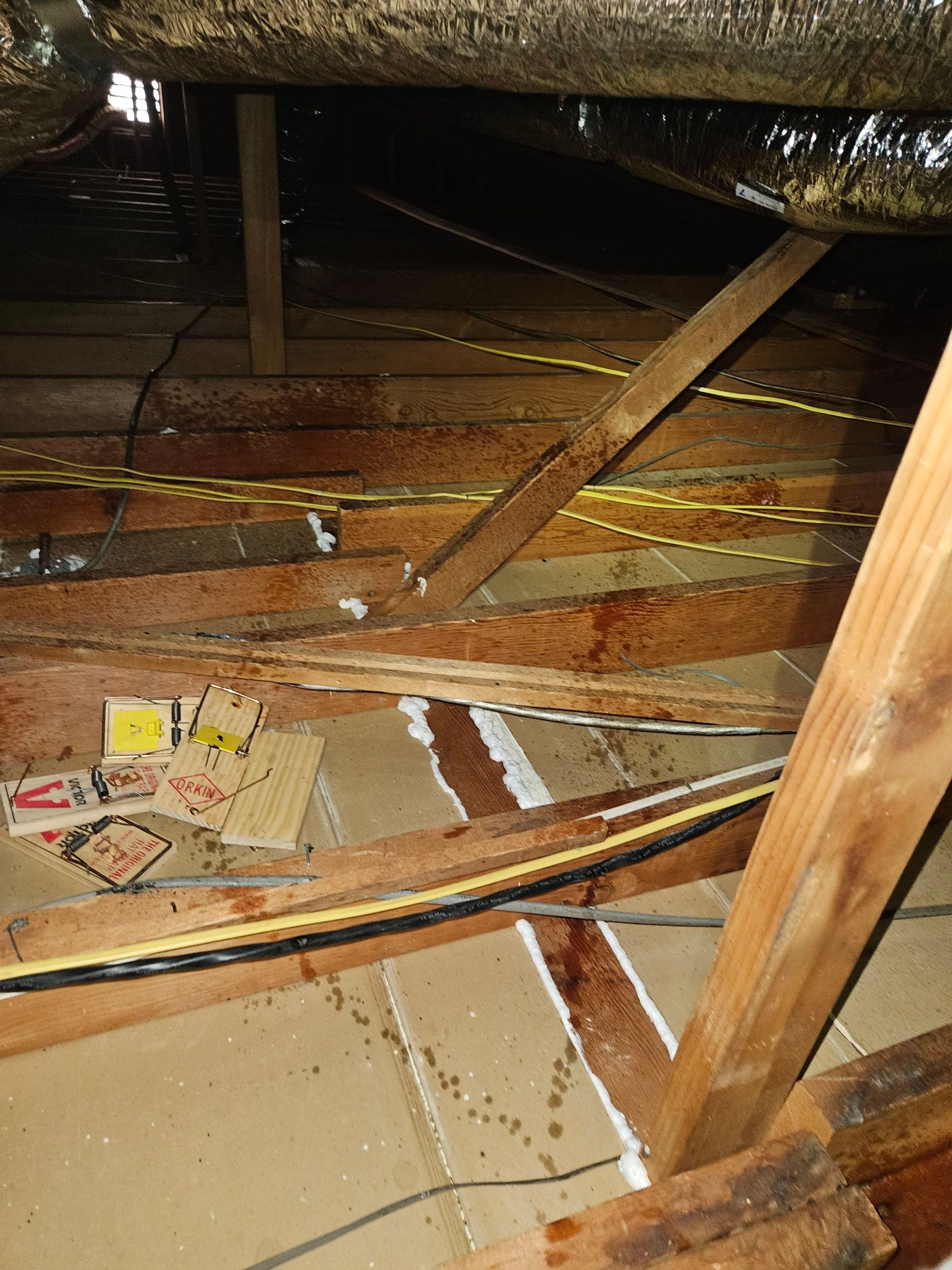 Project in Altadena by Insulation Labs