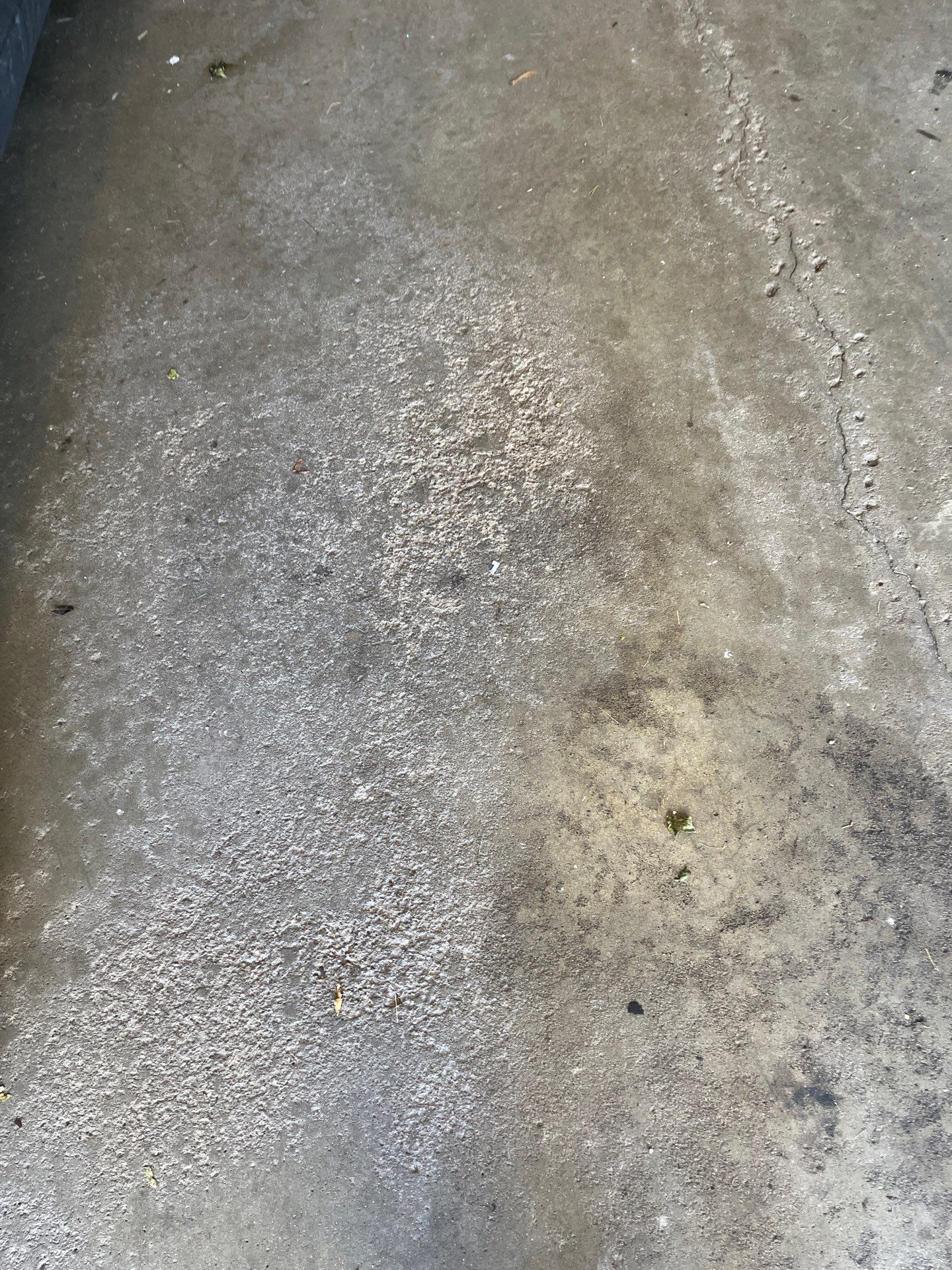 Project in Essexville by Wise Coatings of Central Michigan