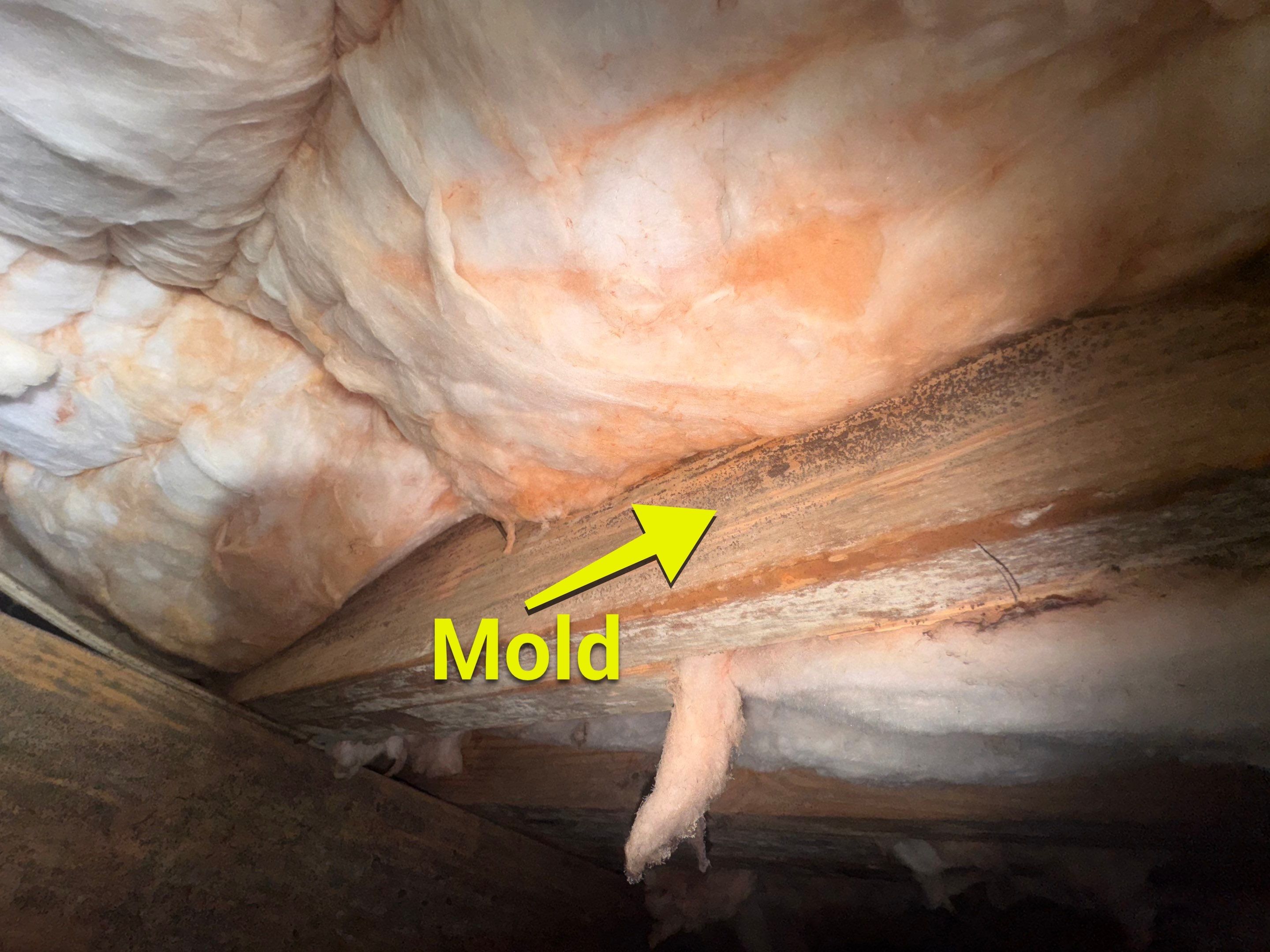 Moisture Barrier, Mold Clean, Structural Repair, Dehumidifier, R19 Insulation. by Impact Crawlspace