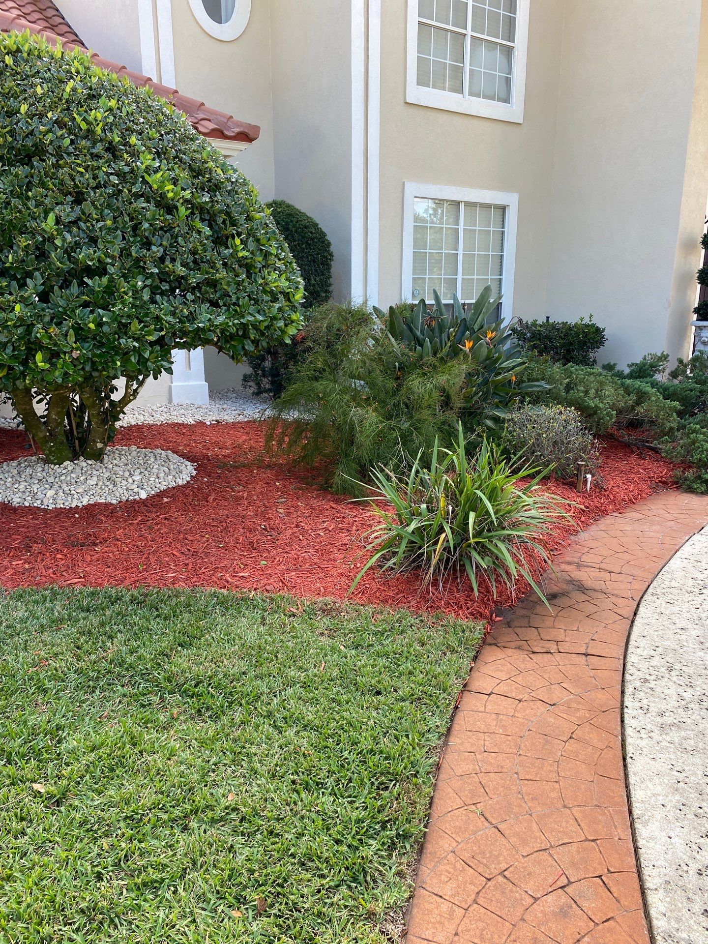 Deerwood Resident | Palm Trimming & Ground Cover by ProGreen Services