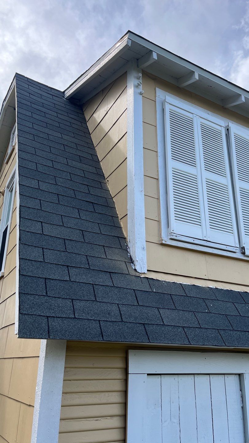 Olive you a Lot! by Bayfront Roofing and Construction