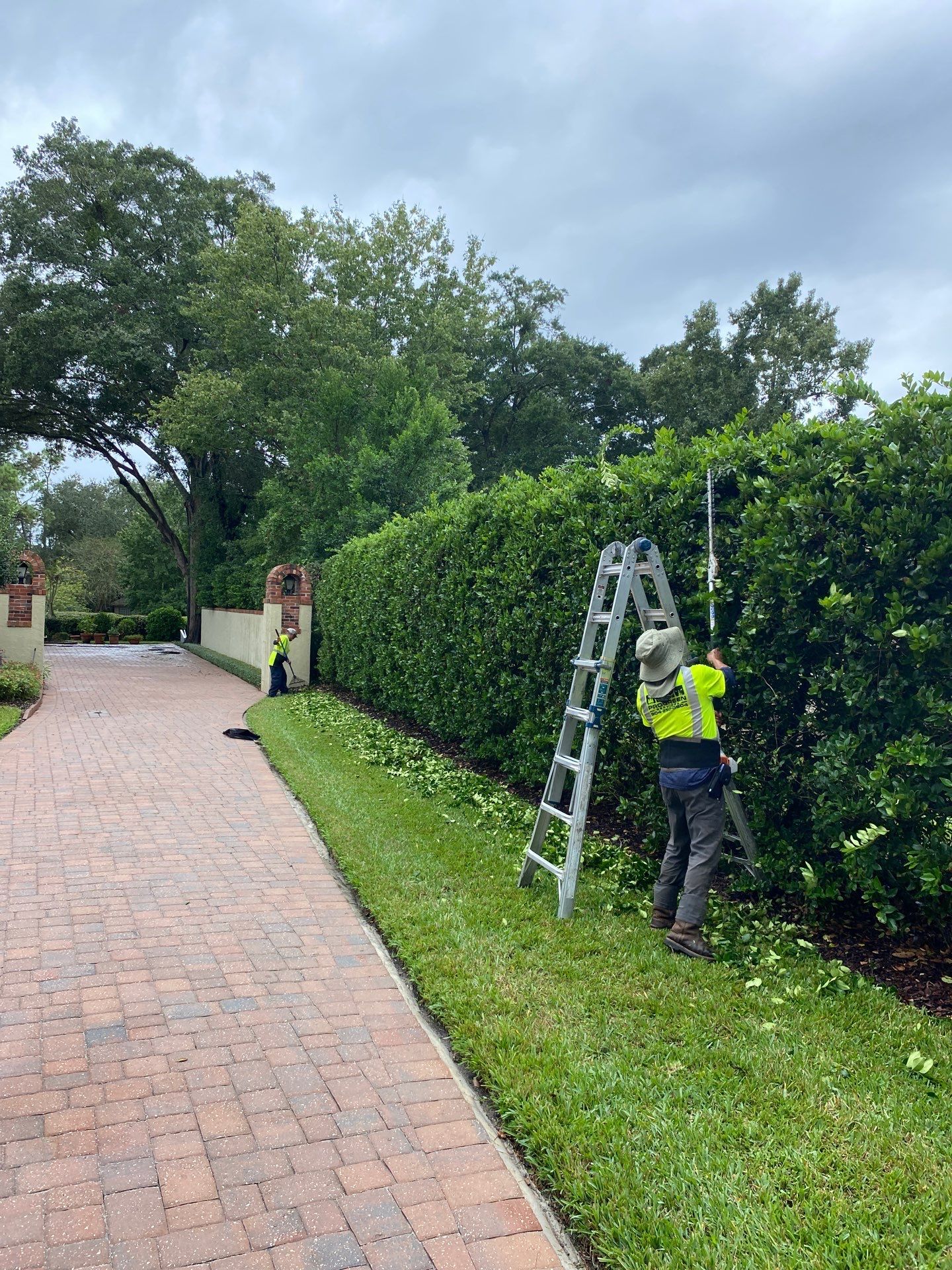 Deerwood Resident | Shrub Work by ProGreen Services