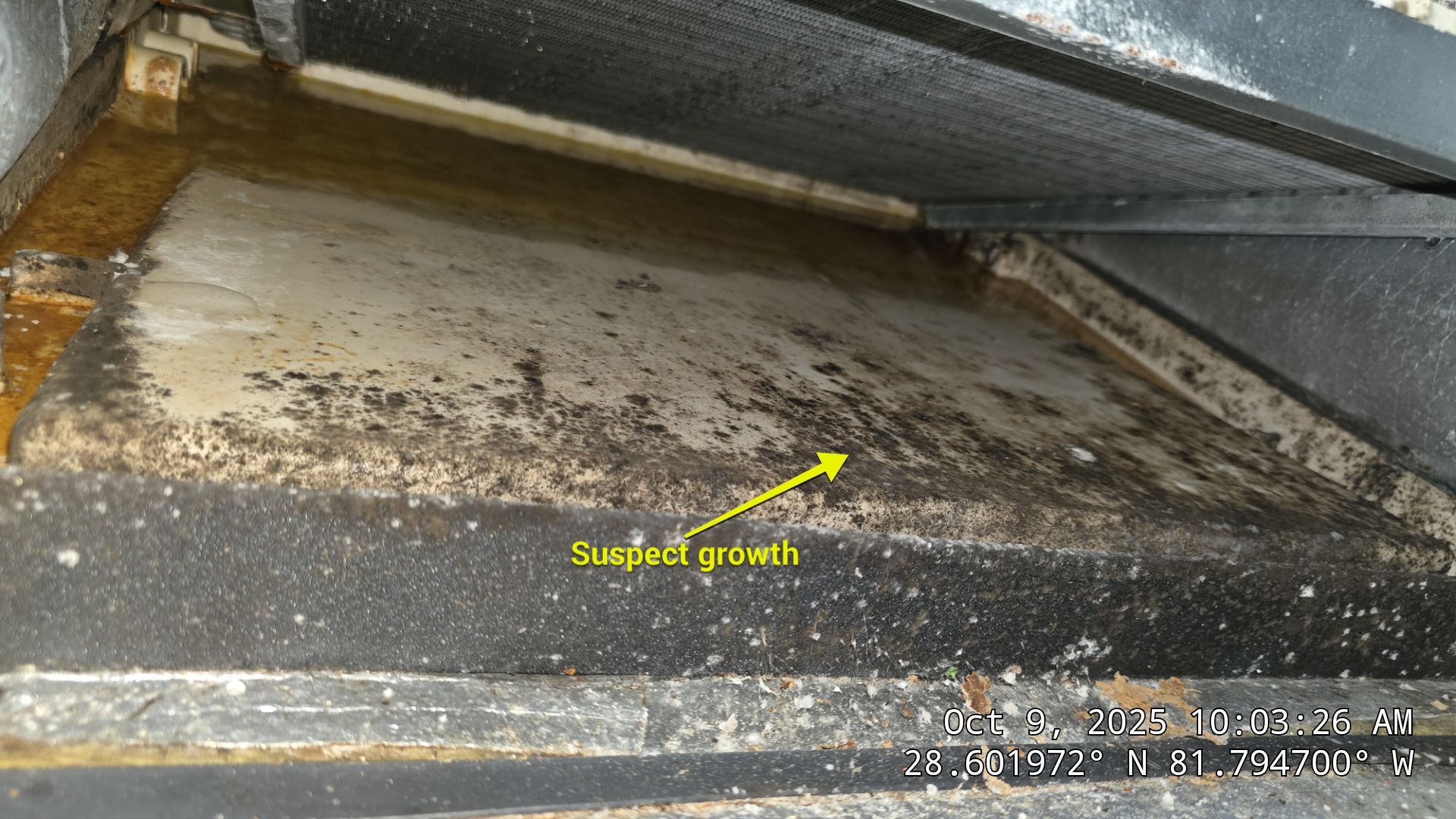 Air Duct and Dryer Vent Cleaning in Groveland by Hygienic Air, Inc