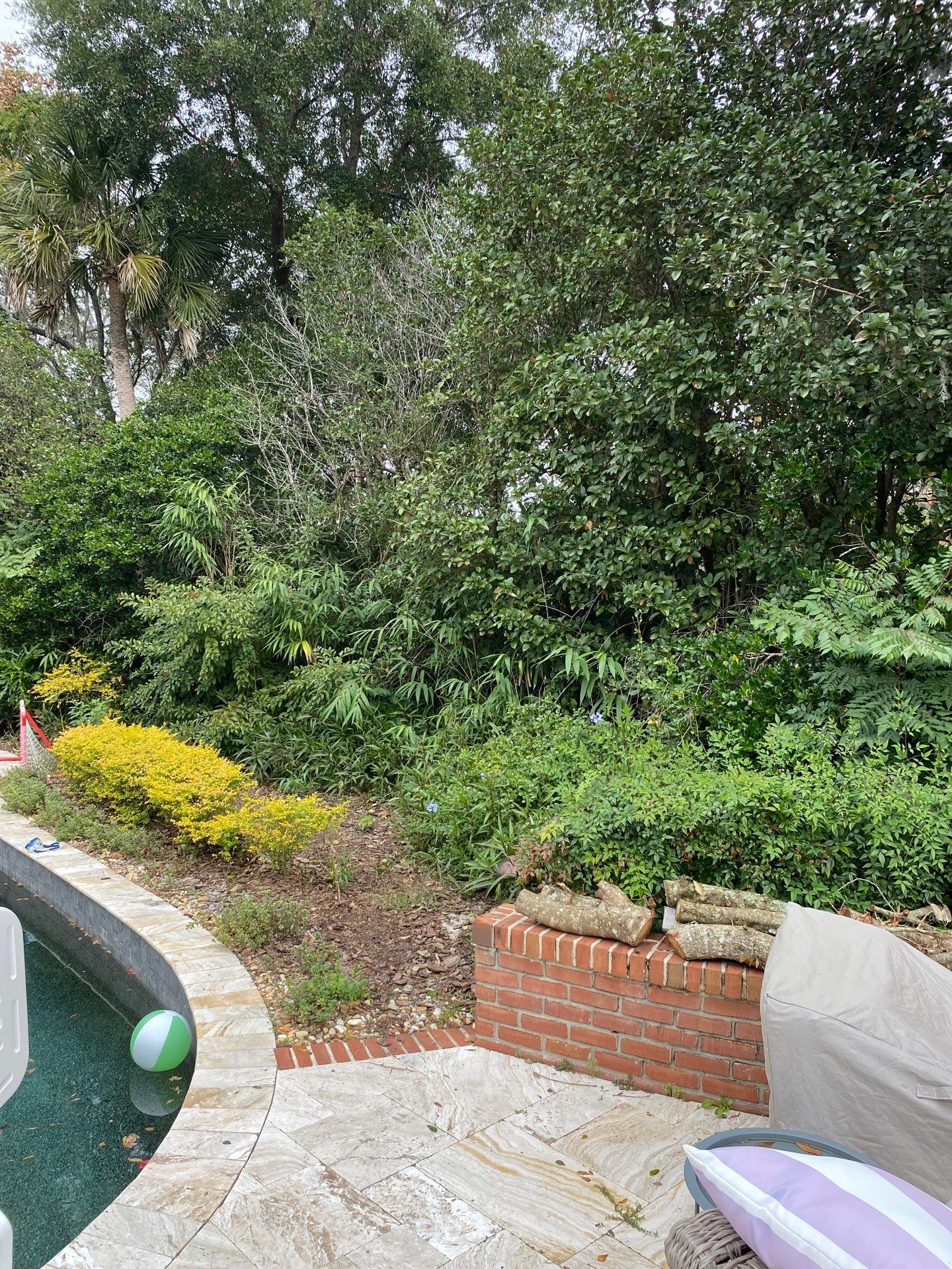 Deerwood Resident | Extreme Cleanup by ProGreen Services