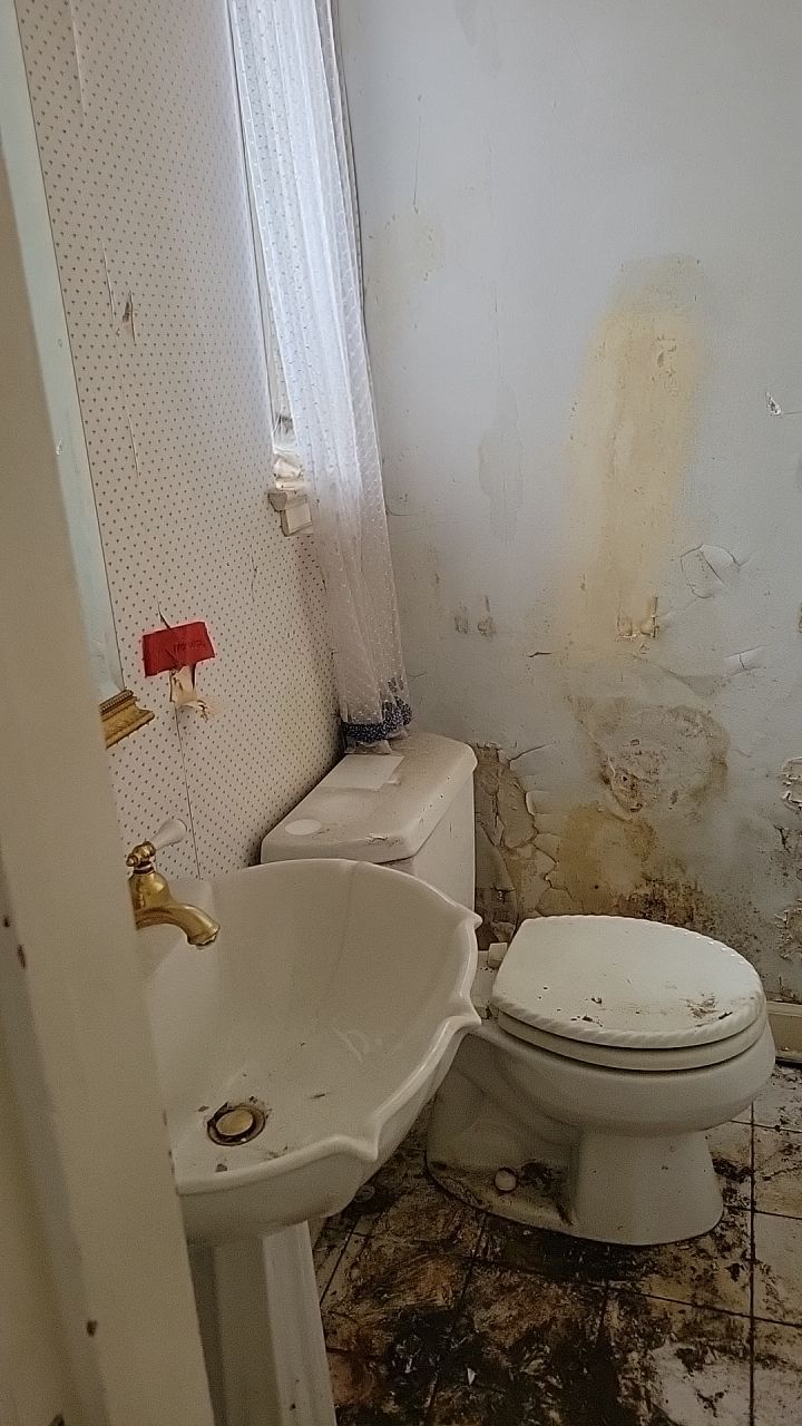 Mold Remediation by Accountable Home Services