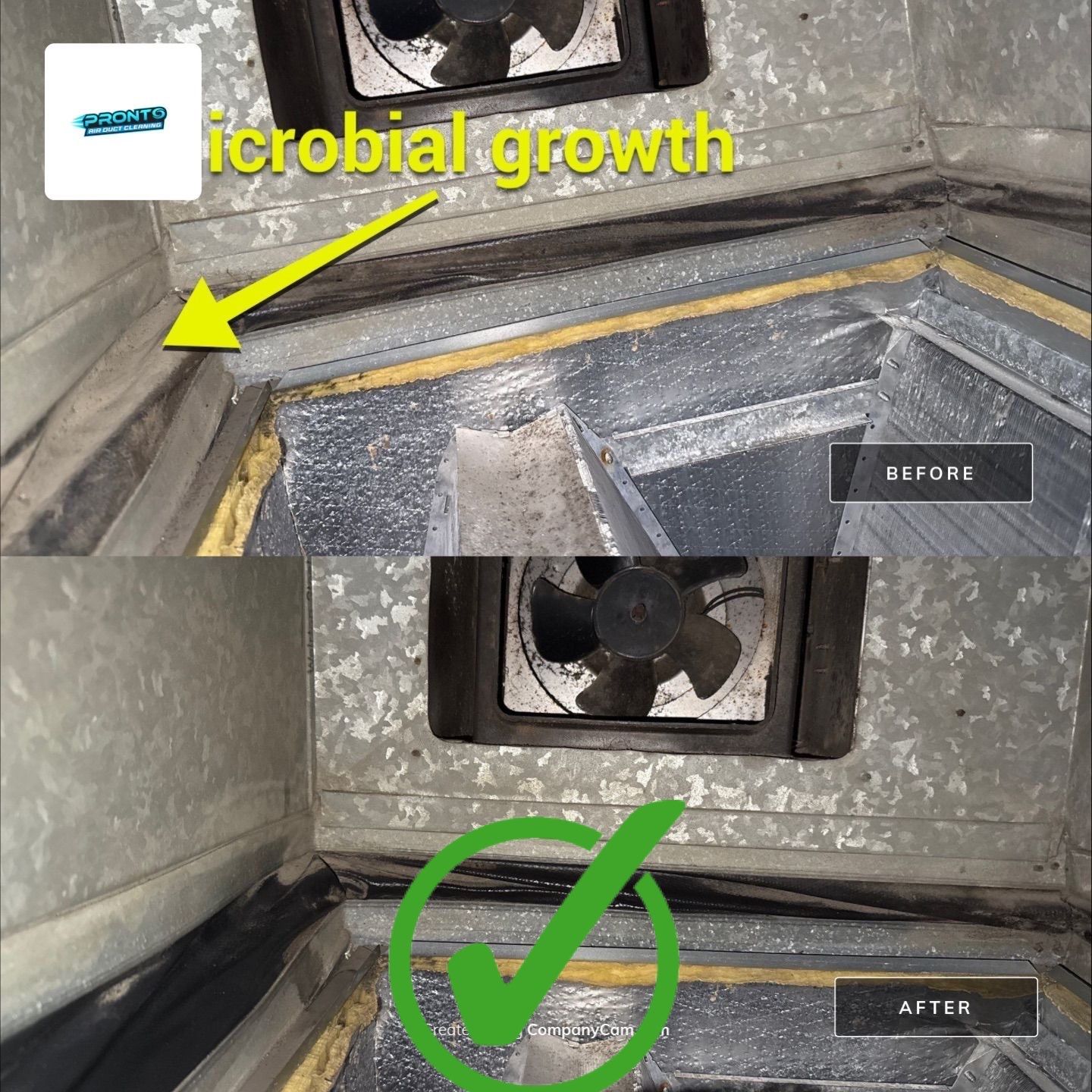 Air Duct Cleaning Manassas VA by Pronto Air Duct Cleaning