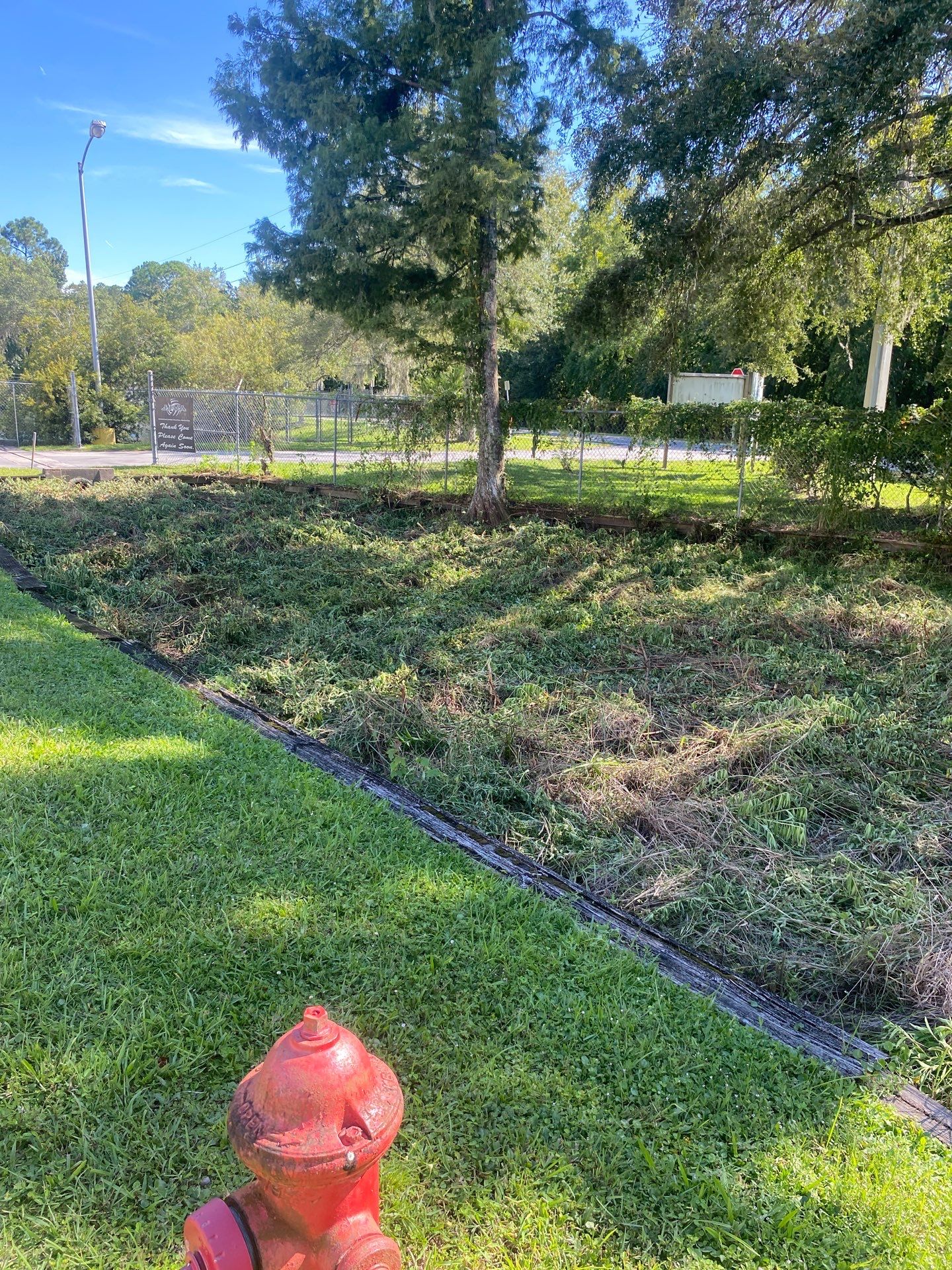 Extreme Clean Out | JJVA Volleyball by ProGreen Services