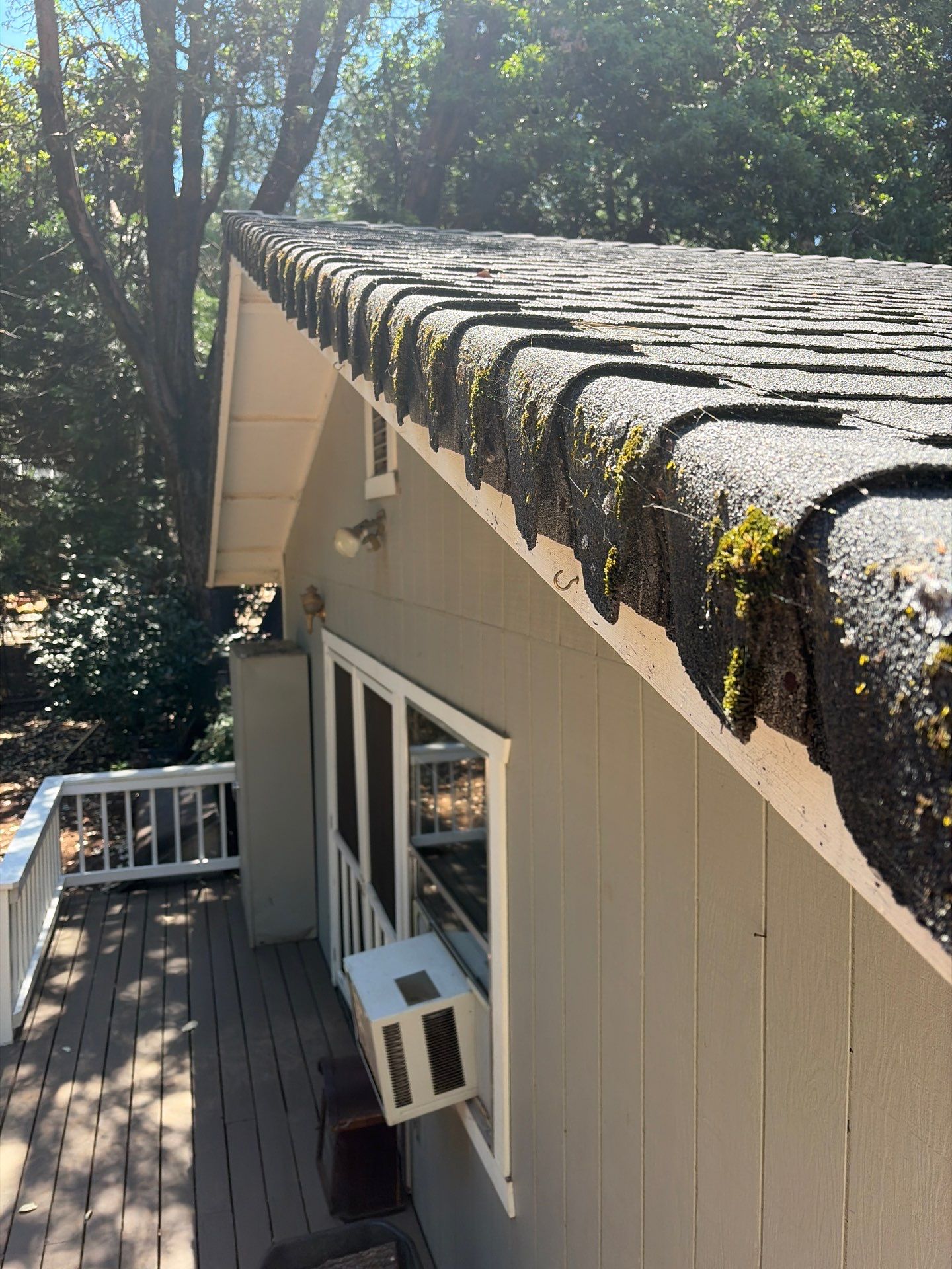 Roof Rejuvenation using Roof Maxx Treatment by Roof Maxx of Folsom