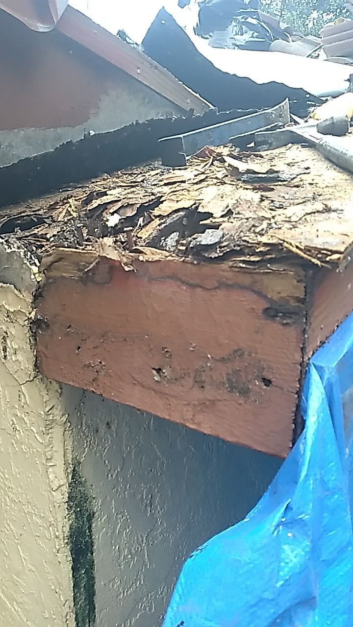 Tile Roof Valley Leak Repair and Interior Ceiling Restoration in Davie by Aastro Roofing
