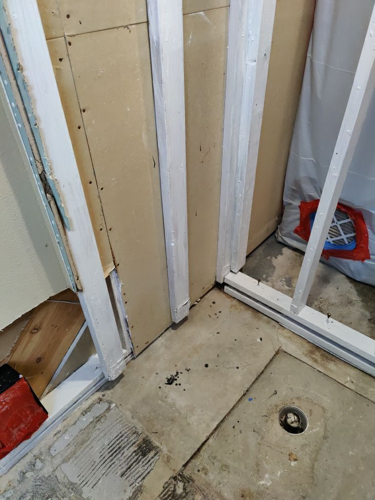 Mold Remediation by Accountable Home Services