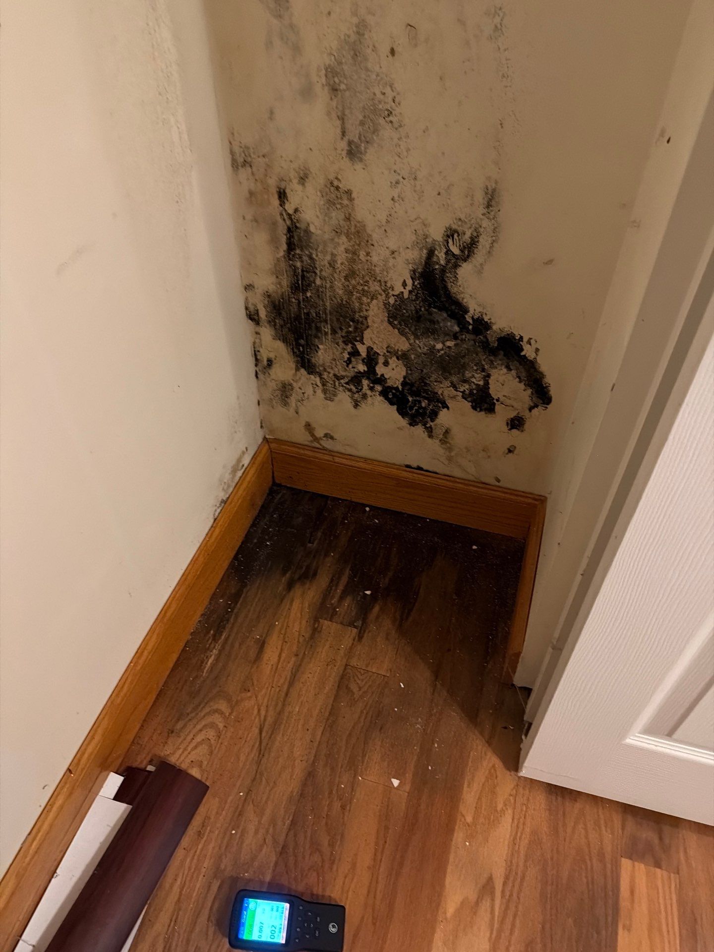 Professional Mold Remediation and Interior Water Damage Restoration in Wellington by SuperClean