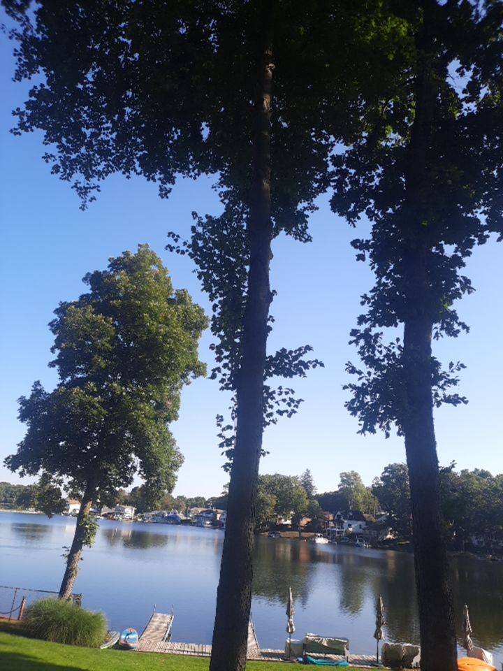 Tree Trimming using Tree Pruing by Mike Jones & Sons Tree Service LLC 