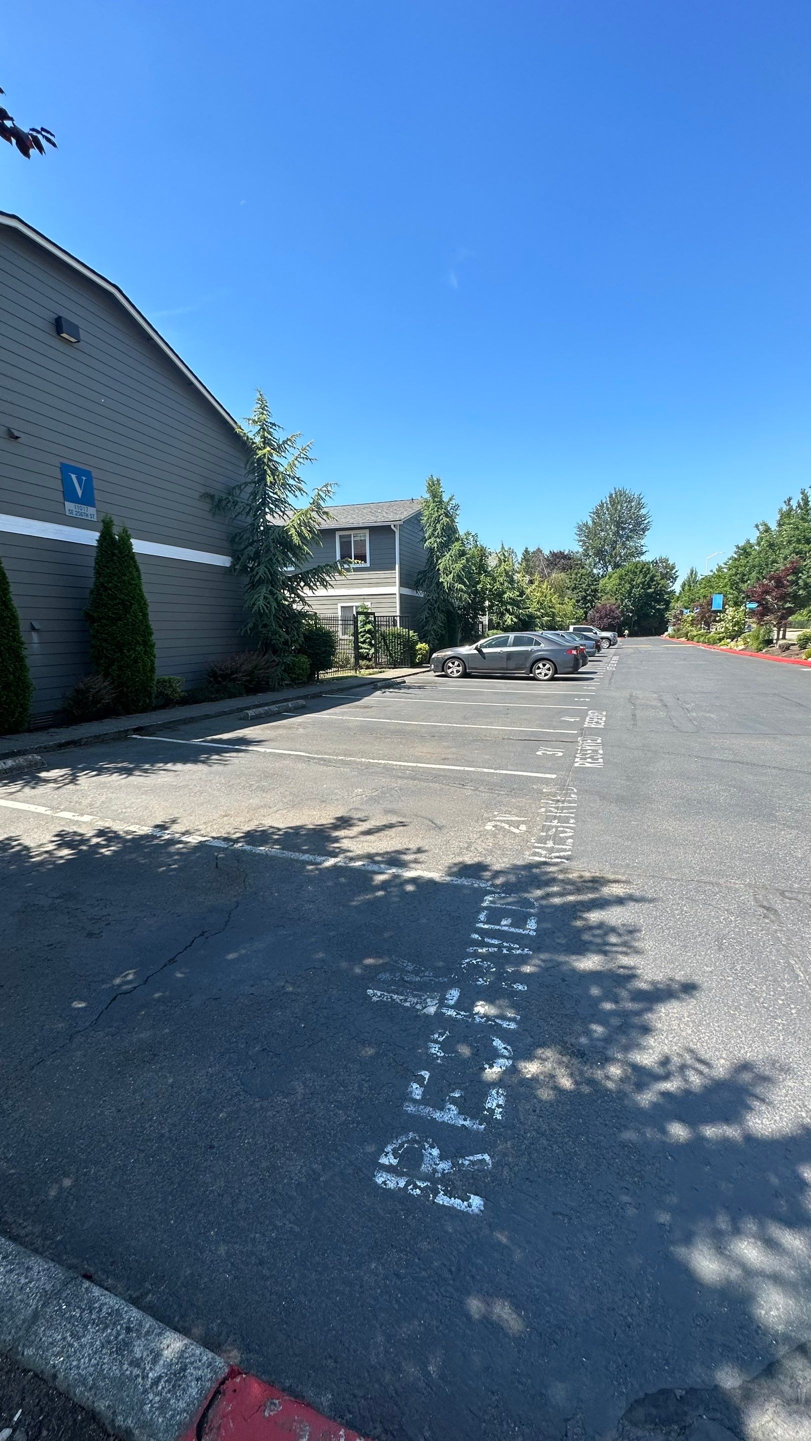 Chaz | Driveway Repave, Asphalt Project  by Jireh Asphalt & Concrete Inc 