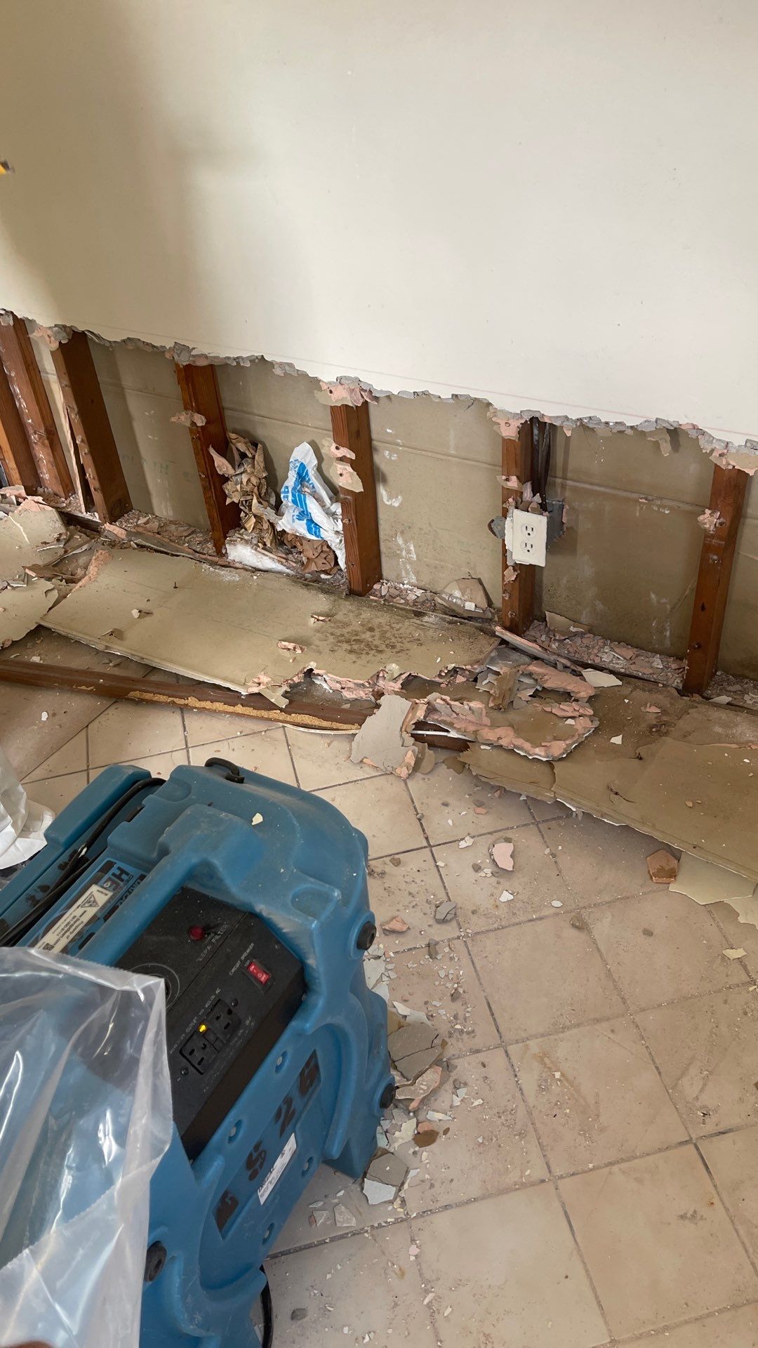 Mold Remediation  by THE RAPID TEAM