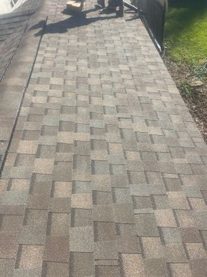 Shingle Reroof Replacement Sanford FL