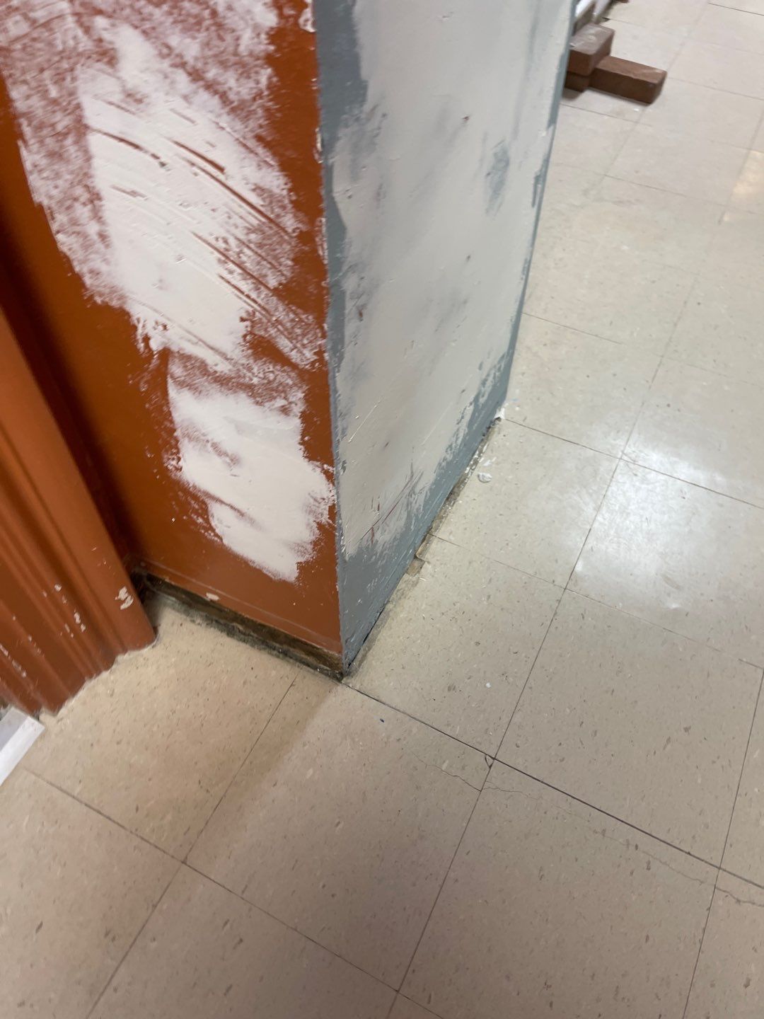 Cat Hospital Project in Pittsburgh by Floors in a Day, Inc