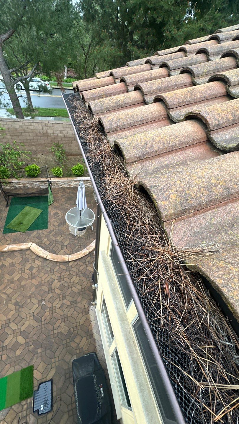 Irvine Roof Washing and Solar Panel Cleaning by Property Cleaning Experts