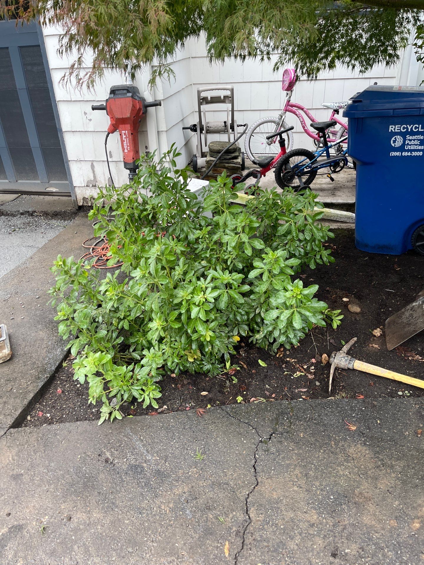 Asphalt Patch & Driveway Repair | Seattle  by Jireh Asphalt & Concrete Inc 