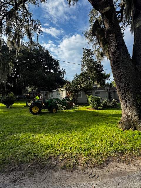 Tree Removal | Episcopal School of Jacksonville by ProGreen Services