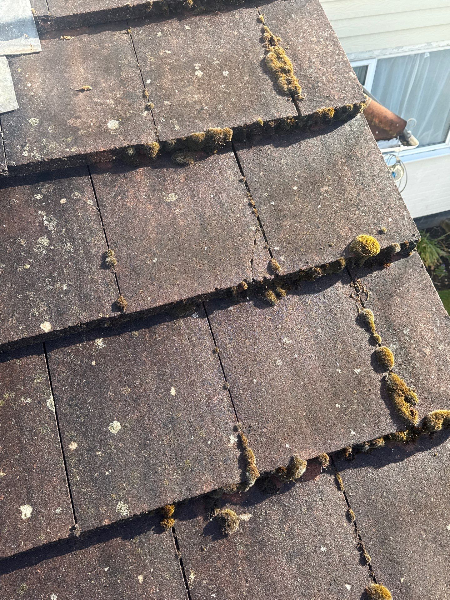 Roof Clean - Biocide Treatment using Honda 15lpm Low Pressure Washing Machine by Ges Exterior Cleaning ltd