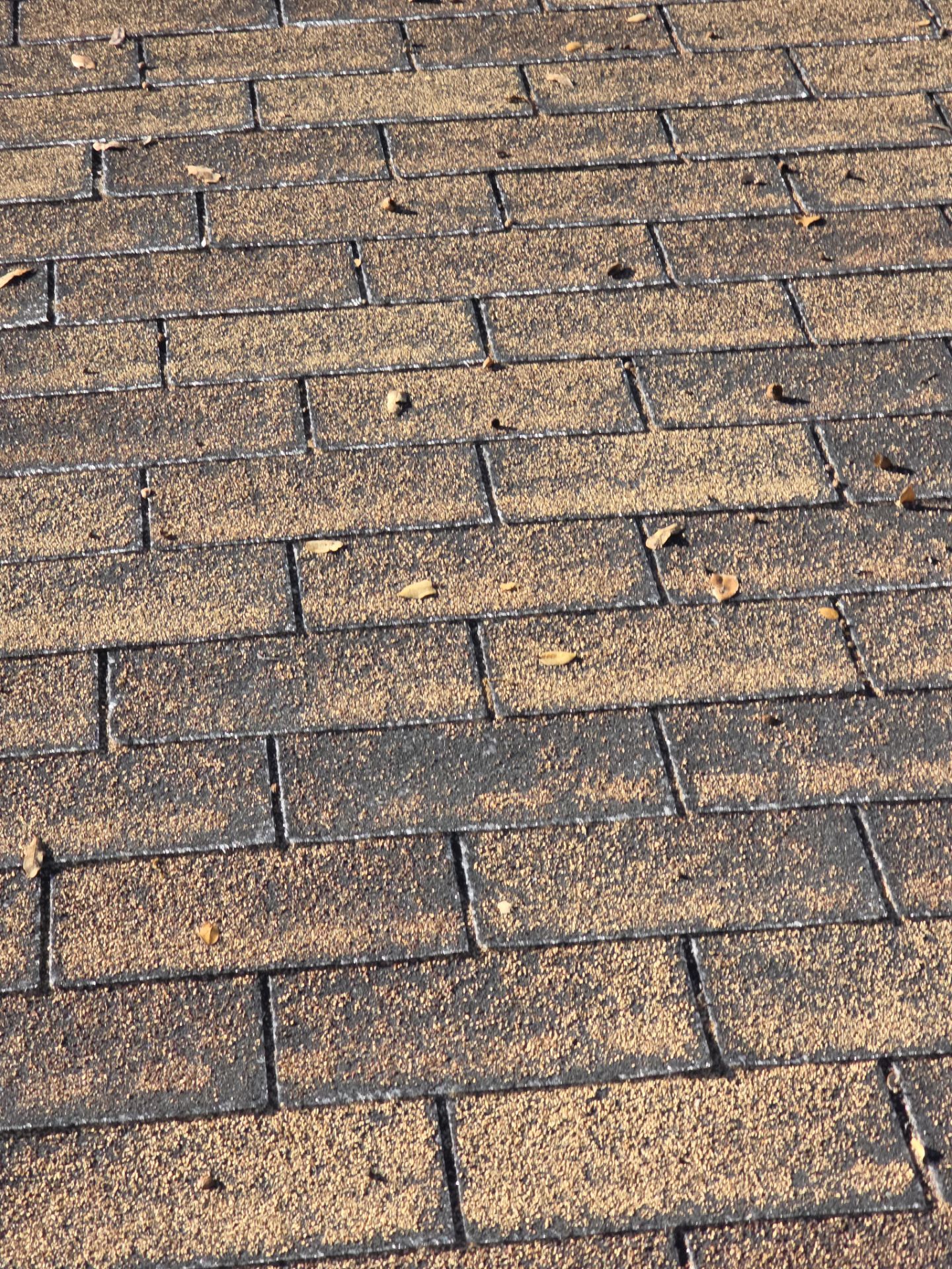 Roof Rejuvenation using Roof Maxx Treatment by Roof Maxx of Folsom