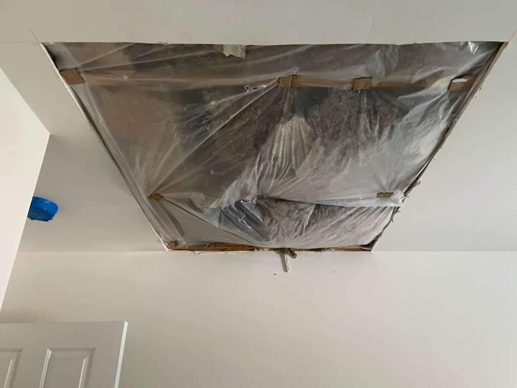 Roof replacement, interior and gutter repair by hail and wind damage by Just Brilliant Restoration JBR