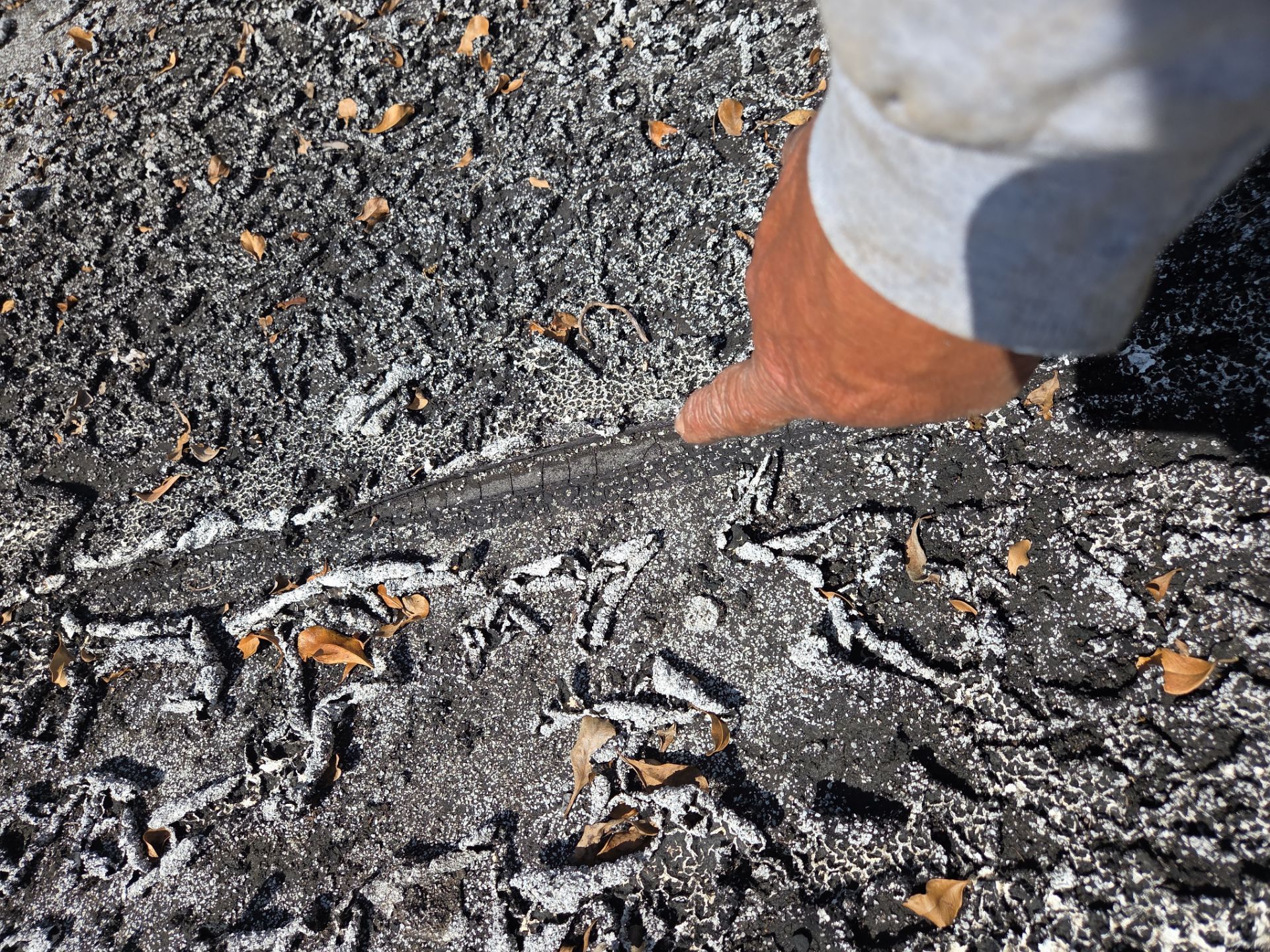Flat Roof Restoration and Silicone Coating in Boca Raton by Aastro Roofing
