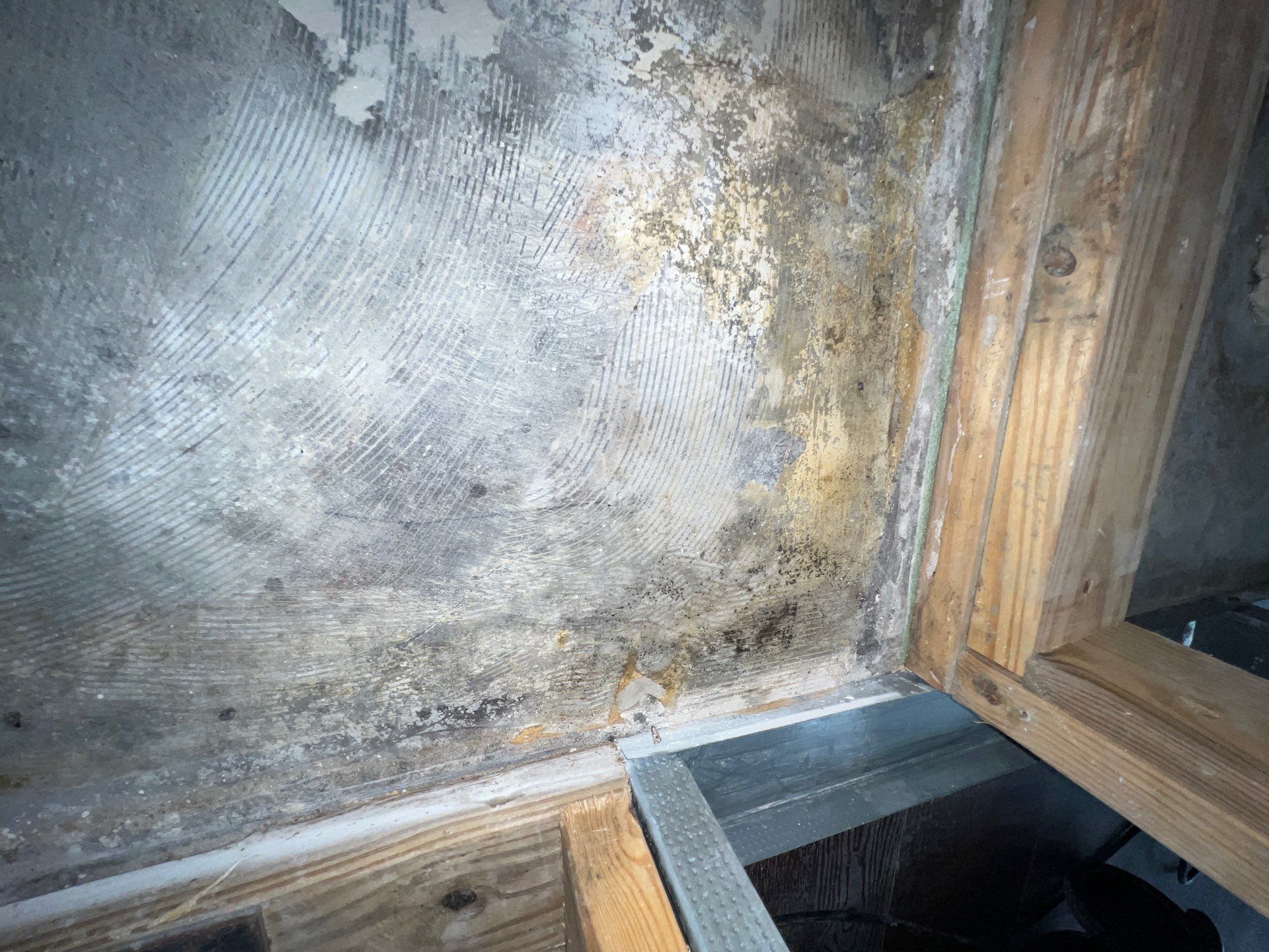 Stansell - water and mold photos  by THE RAPID TEAM