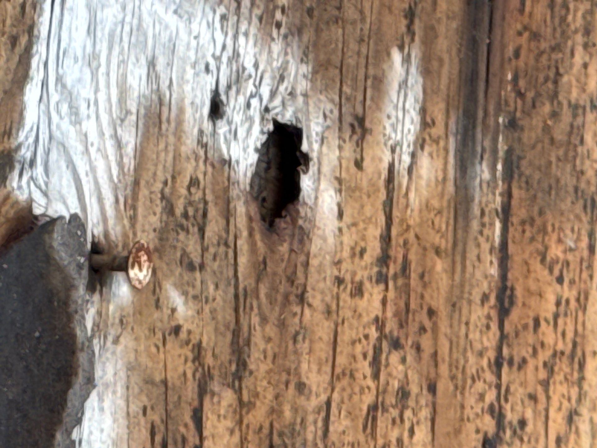 Roof Repair Houston by Roof Repair Company