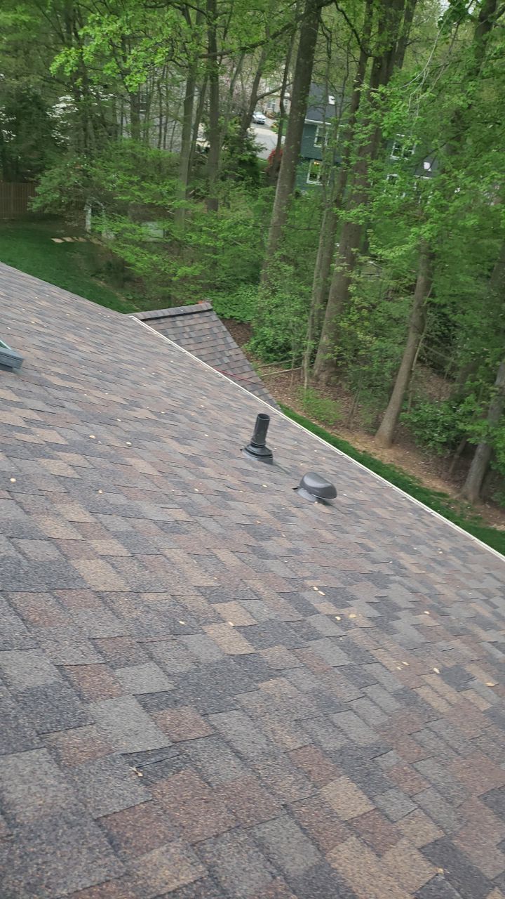 Burke: CertainTeed Landmark Pro Designer Shingles in Max Def Shenandoah by RM Banning, Inc.