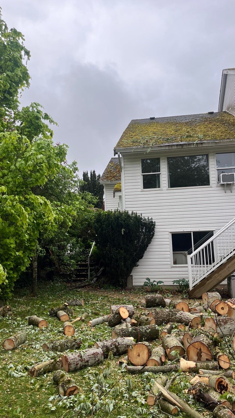 Residential Reroof Shingle - Pewter Grey by Top Notch Roofing Inc