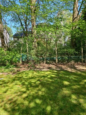 Tree Trimming using Tree Pruing