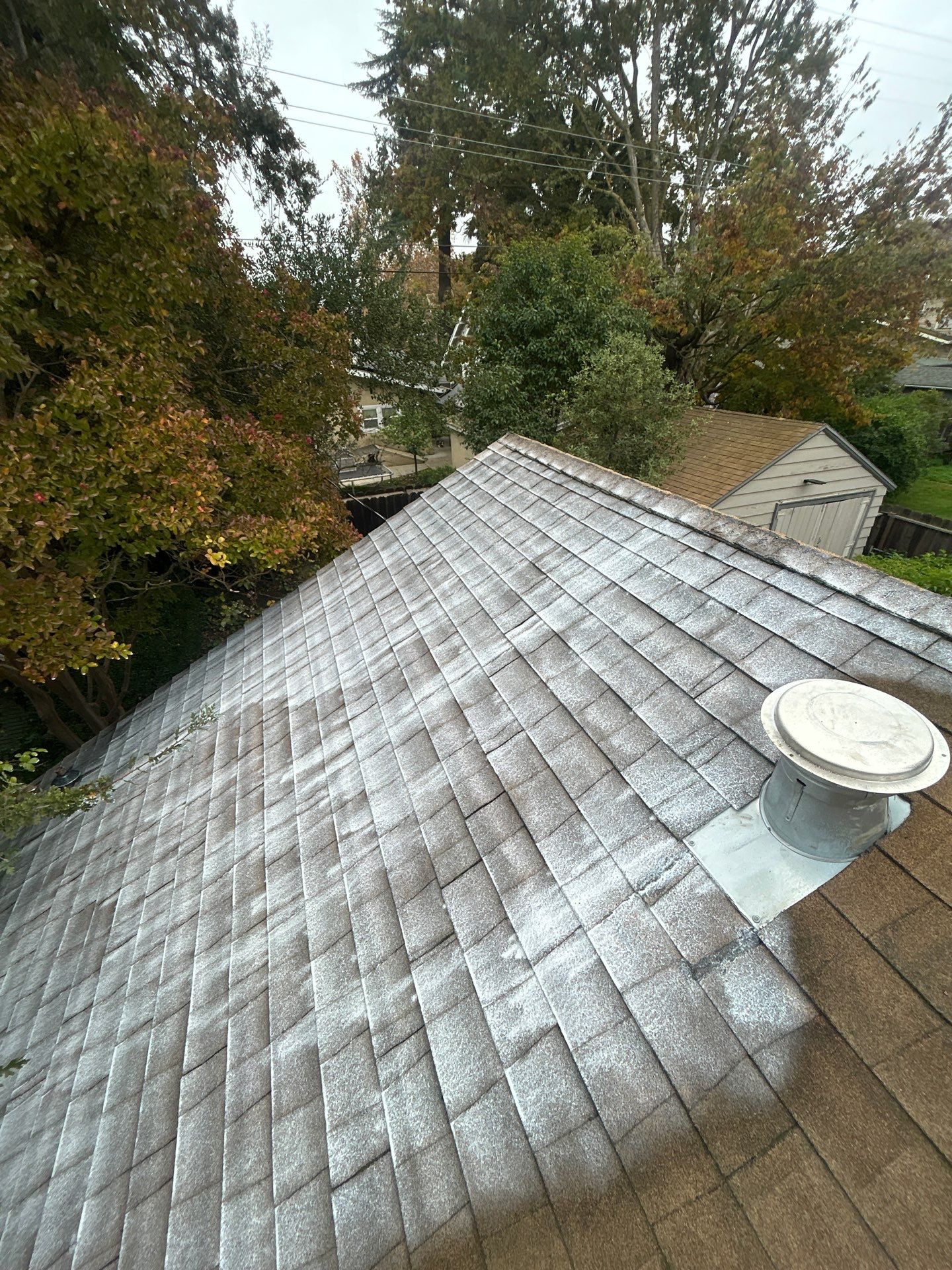 Roof Rejuvenation using Roof Maxx Treatment by Roof Maxx of Folsom