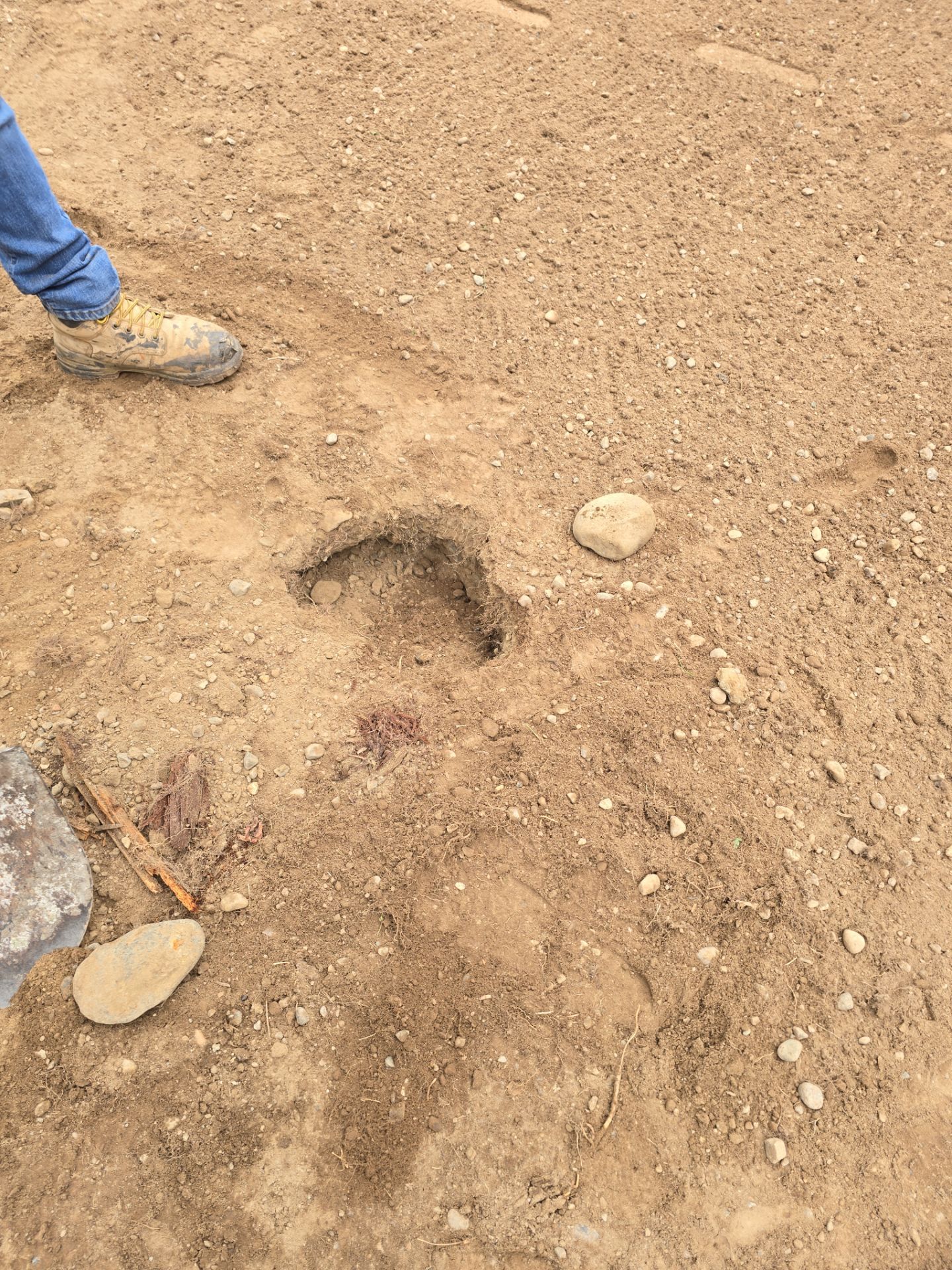 James | Concrete Driveway, Walkway & Stairs/Porch and & Planting by Jireh Asphalt & Concrete Inc 